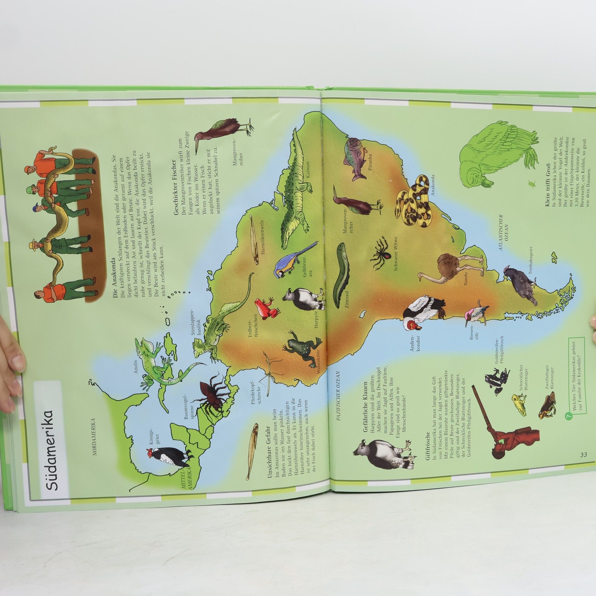 Ute Friesen Kinderatlas Tiere