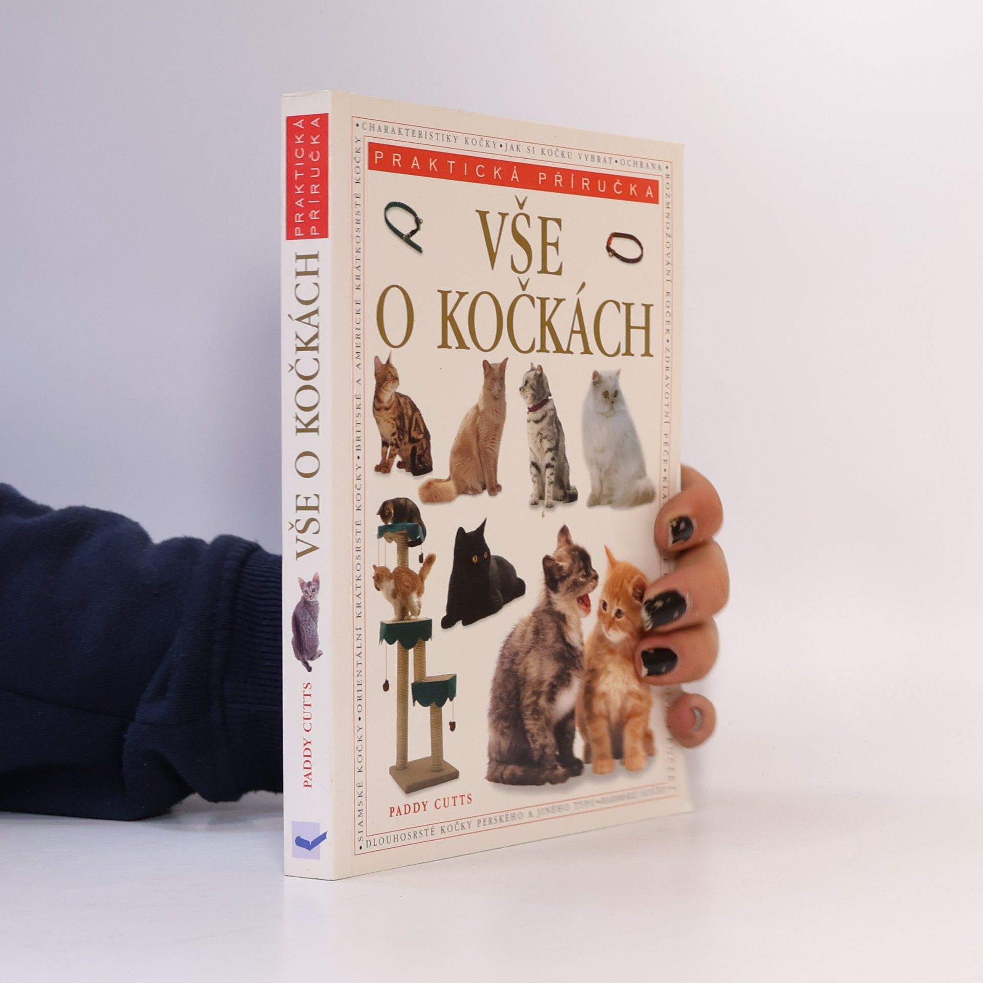 Paddy Cutts Vše o kočkách. Kompletní průvodce