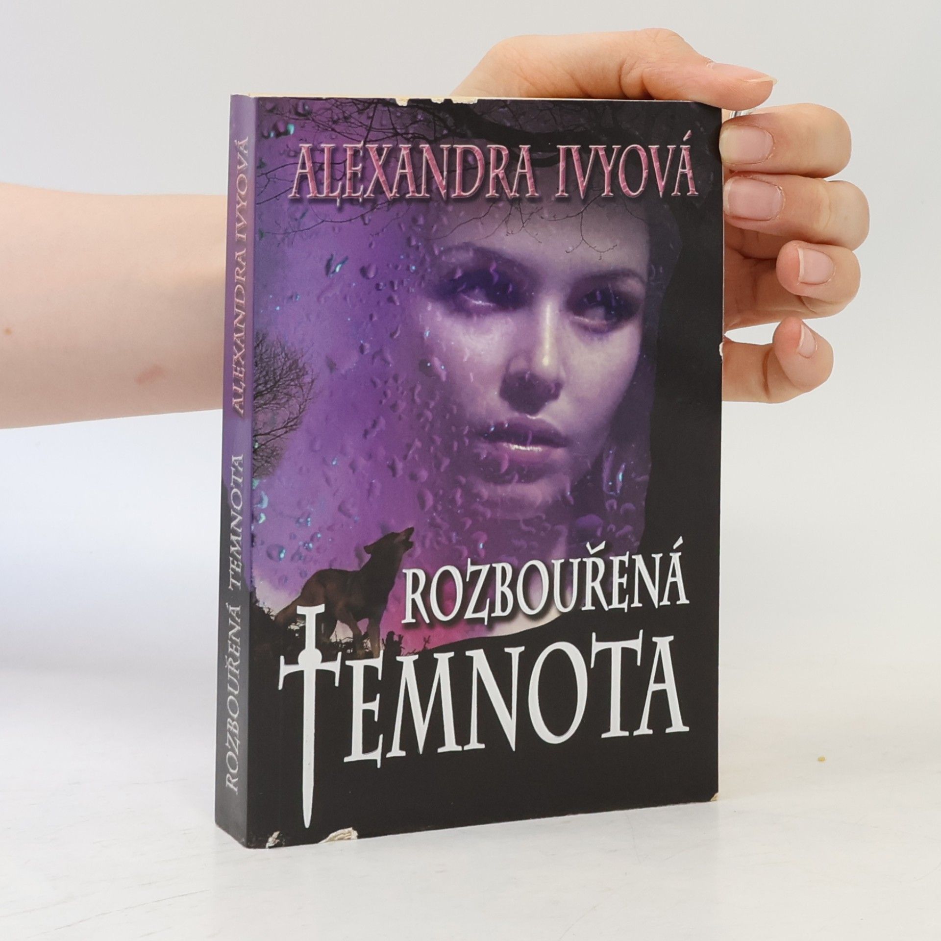 Debbie Raleigh Rozbouřená temnota