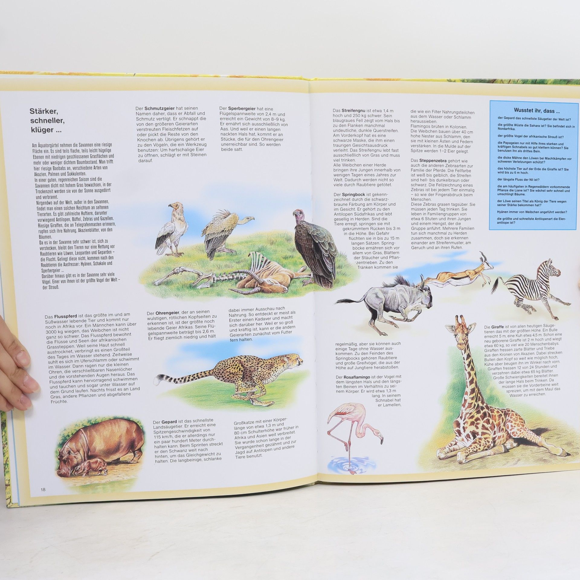 Neuhauser Mein großer Atlas der Tiere