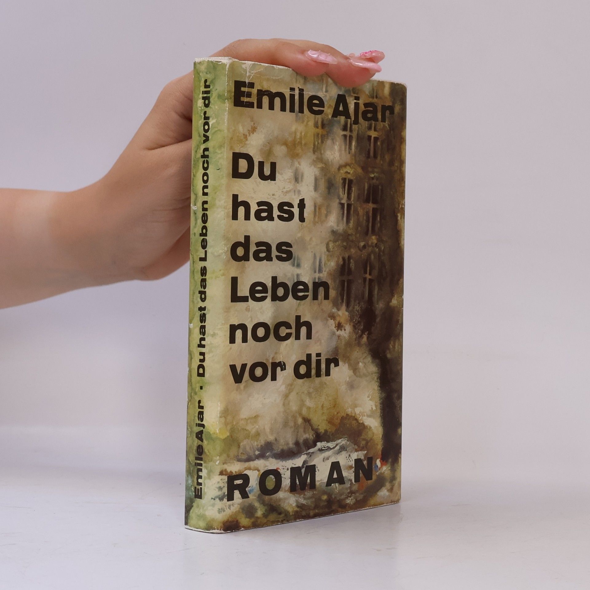 Romain Gary Du hast das Leben vor dir