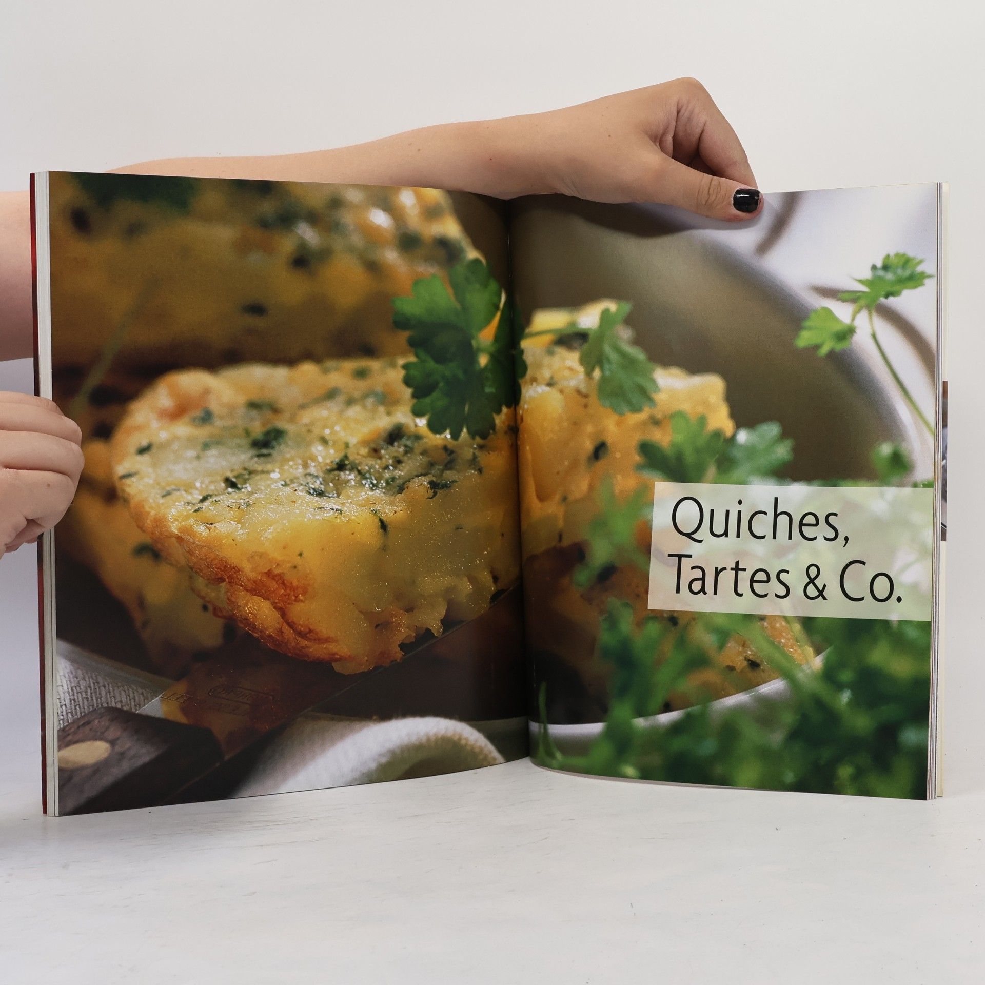 Nicole Fischer Aufläufe & Gratins