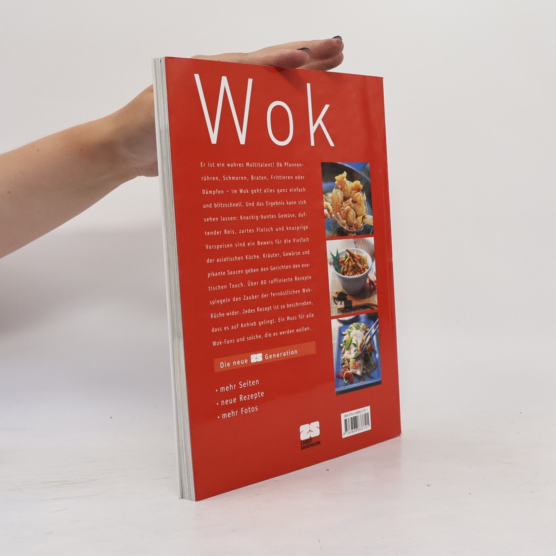Various authors Wok