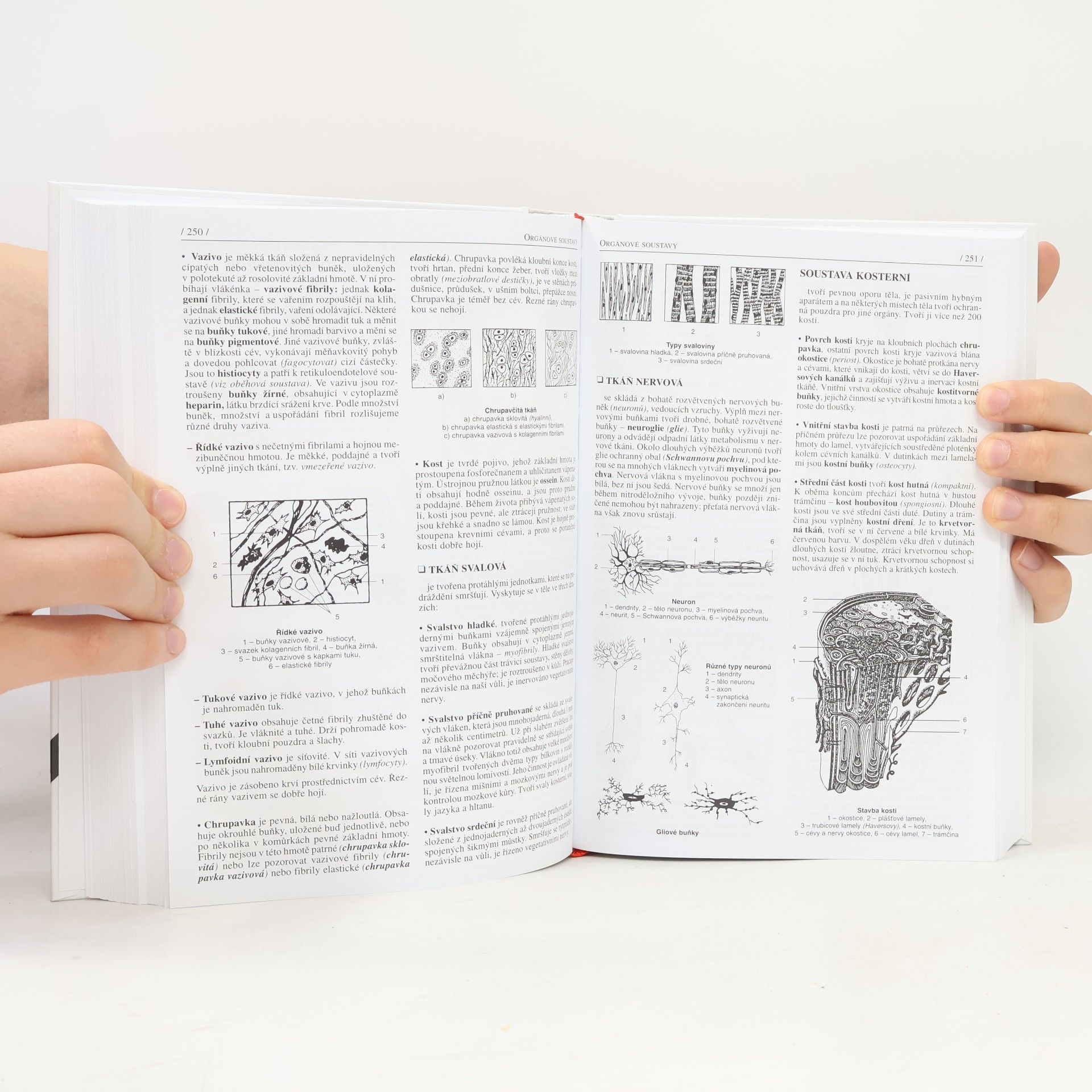 Jan Jelinek Biologie pro gymnázia