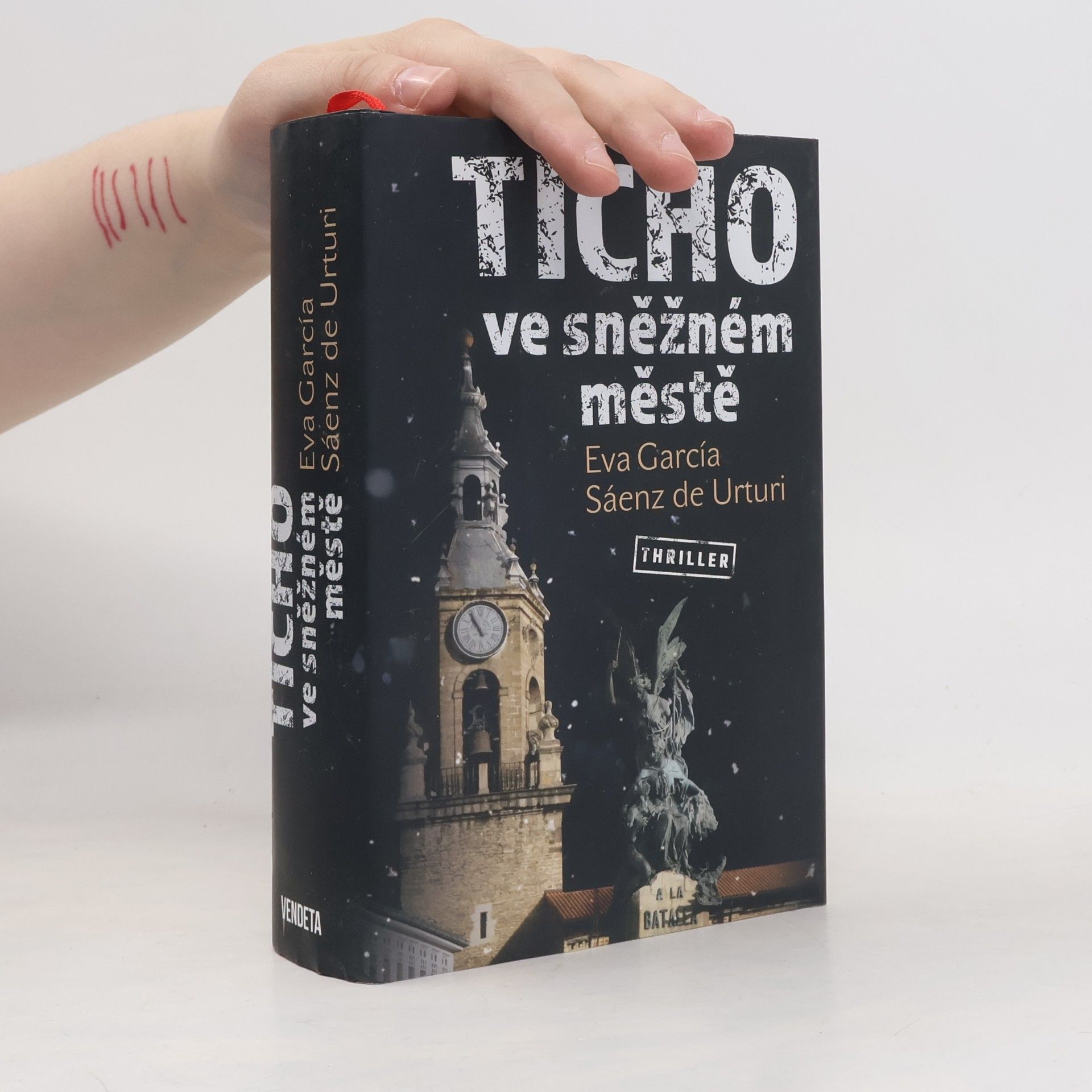 Eva Garcíaová Sáenzová Ticho ve sněžném městě