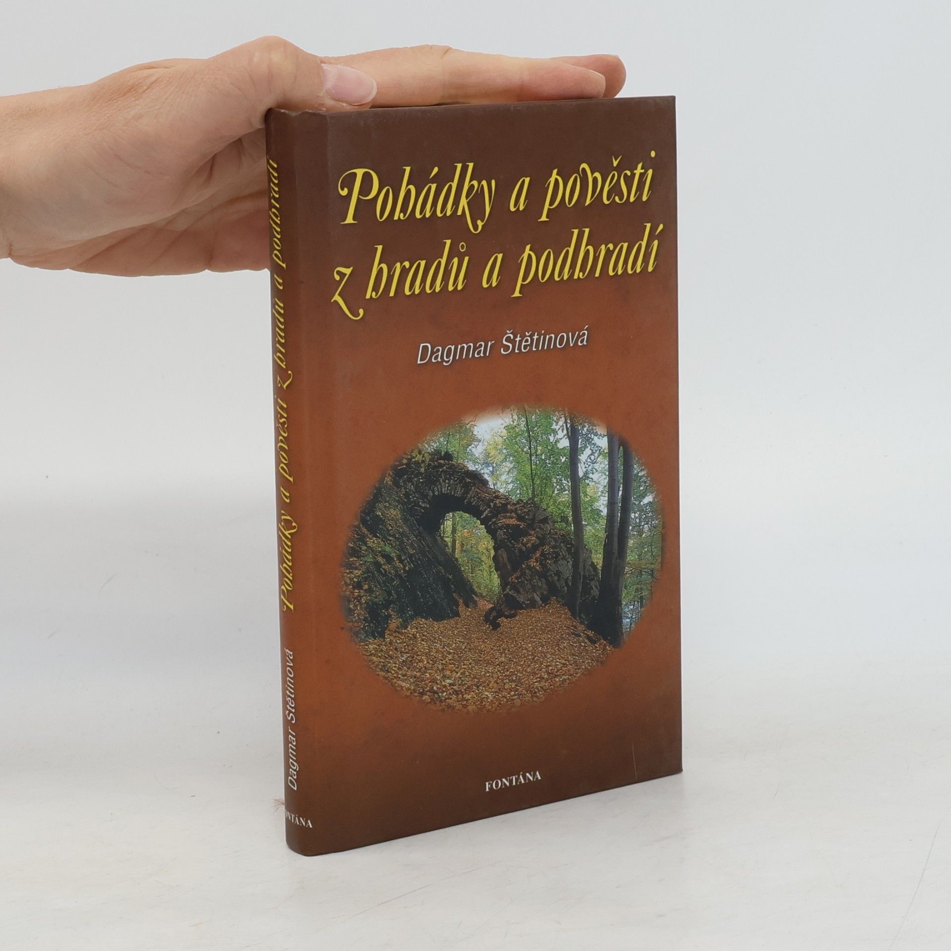 Dagmar Štětinová Pohádky a pověsti z hradů a podhradí