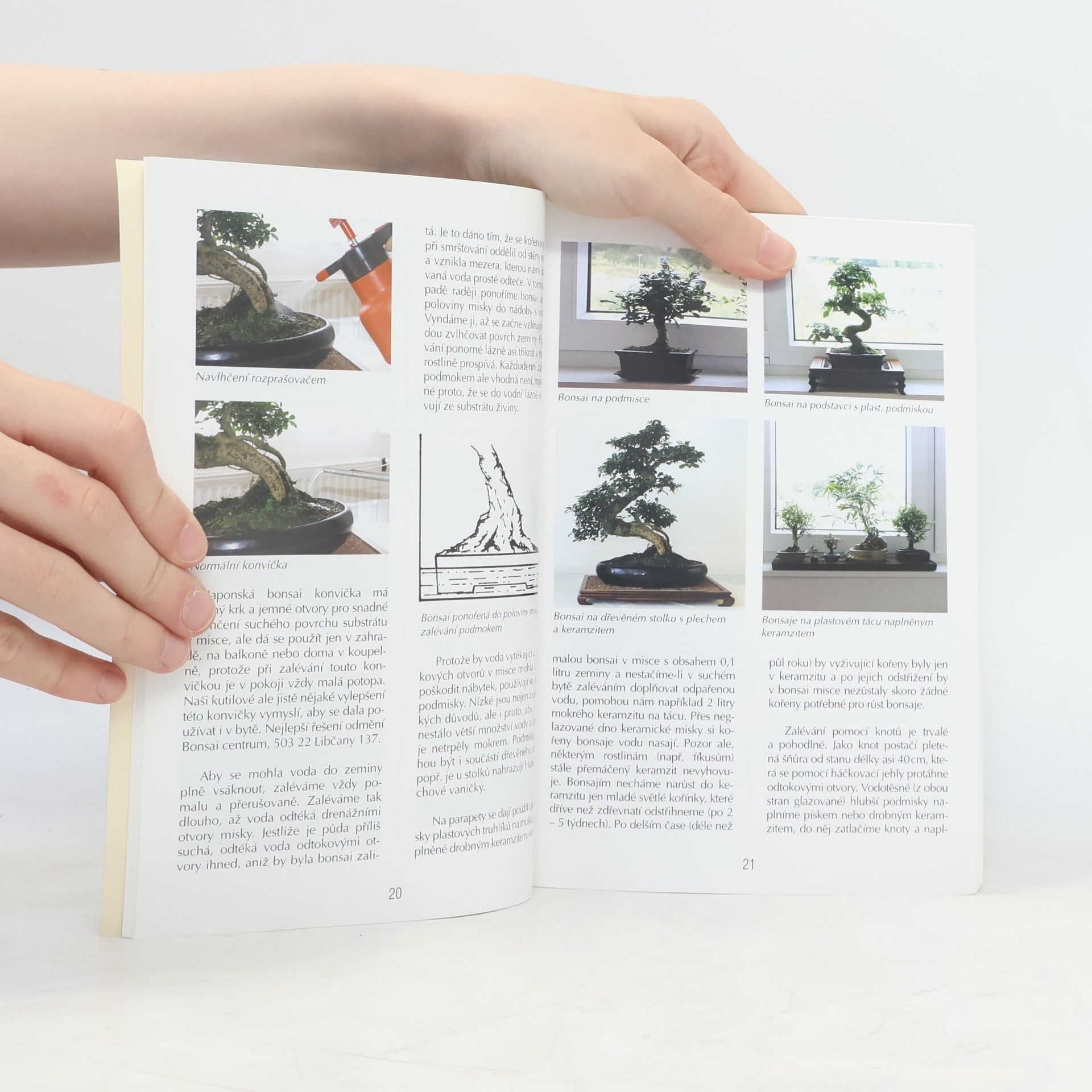 Jaroslav Pišl Bonsai nejen v paneláku