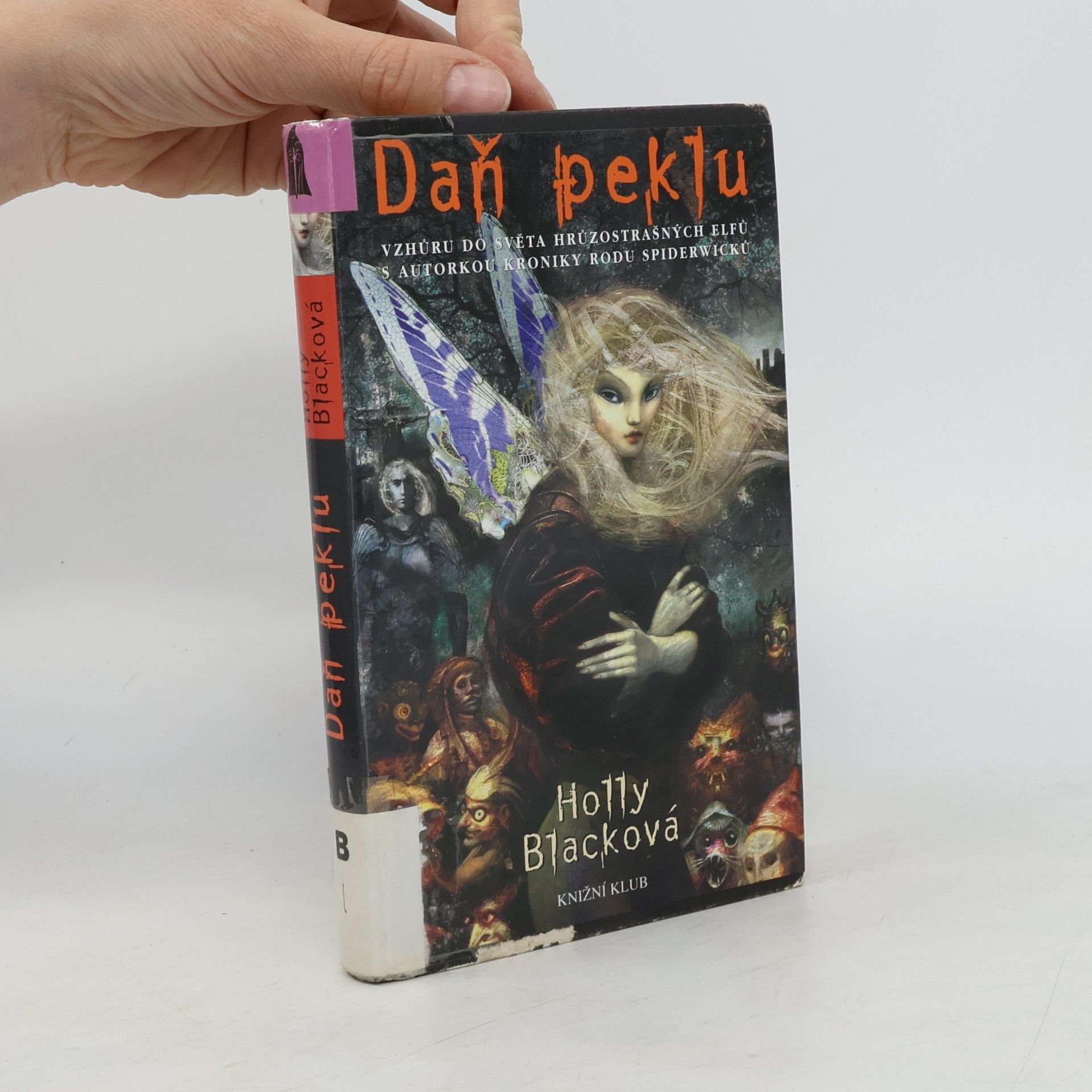 Holly Black Daň peklu