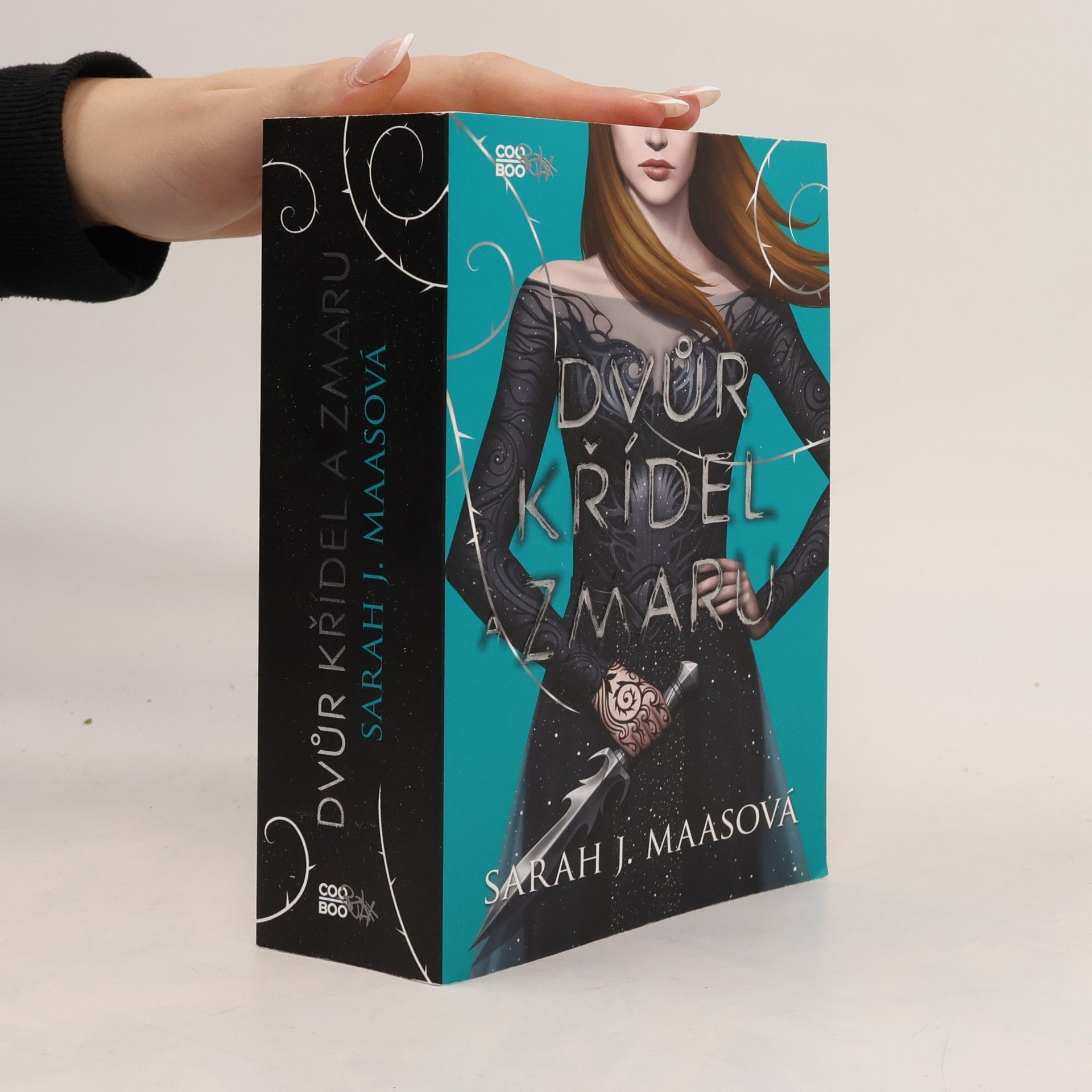 Sarah J. Maas Dvůr křídel a zmaru