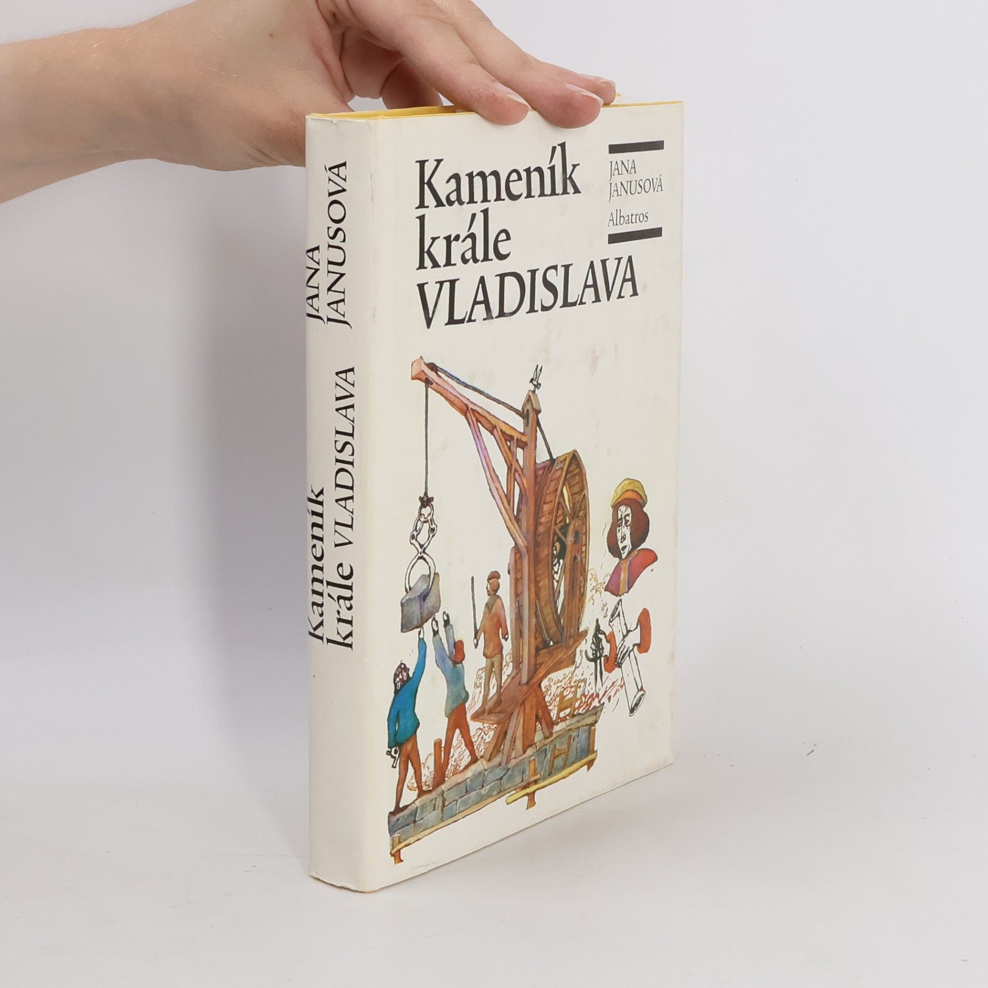 Jana Janusová Kameník krále Vladislava