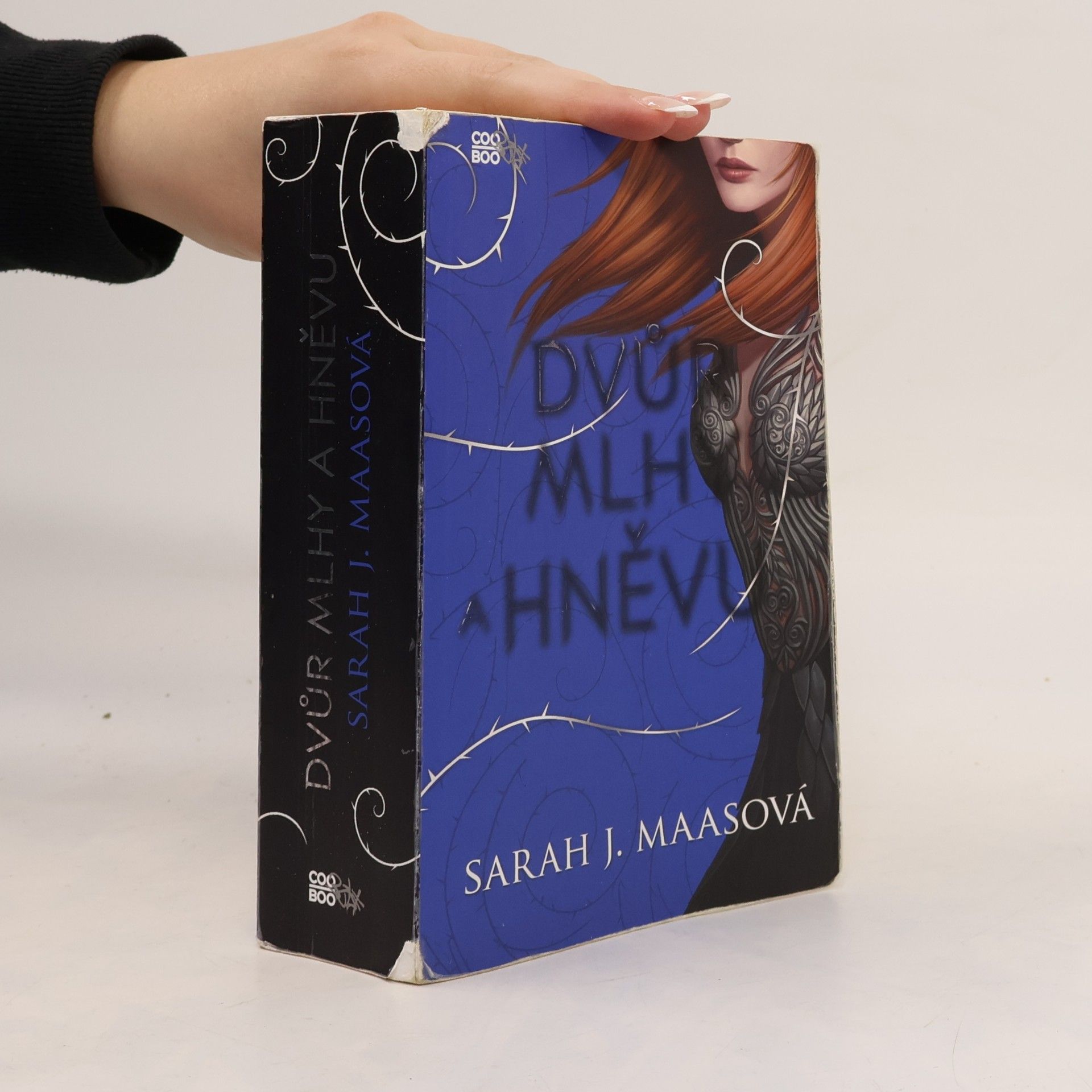 Sarah J. Maas Dvůr mlhy a hněvu