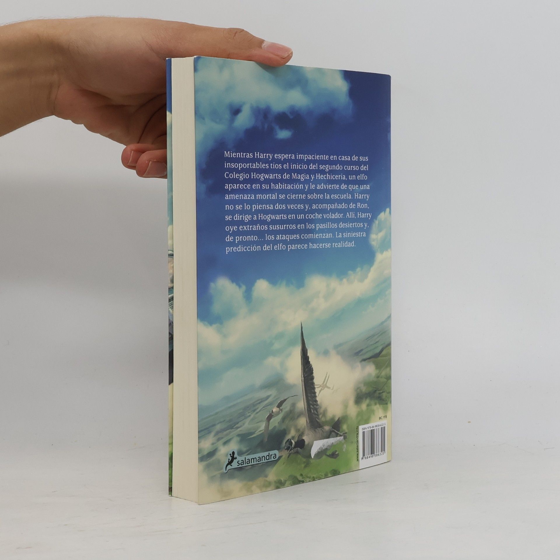 J. K. Rowling Harry Potter y la cámara secreta (2)