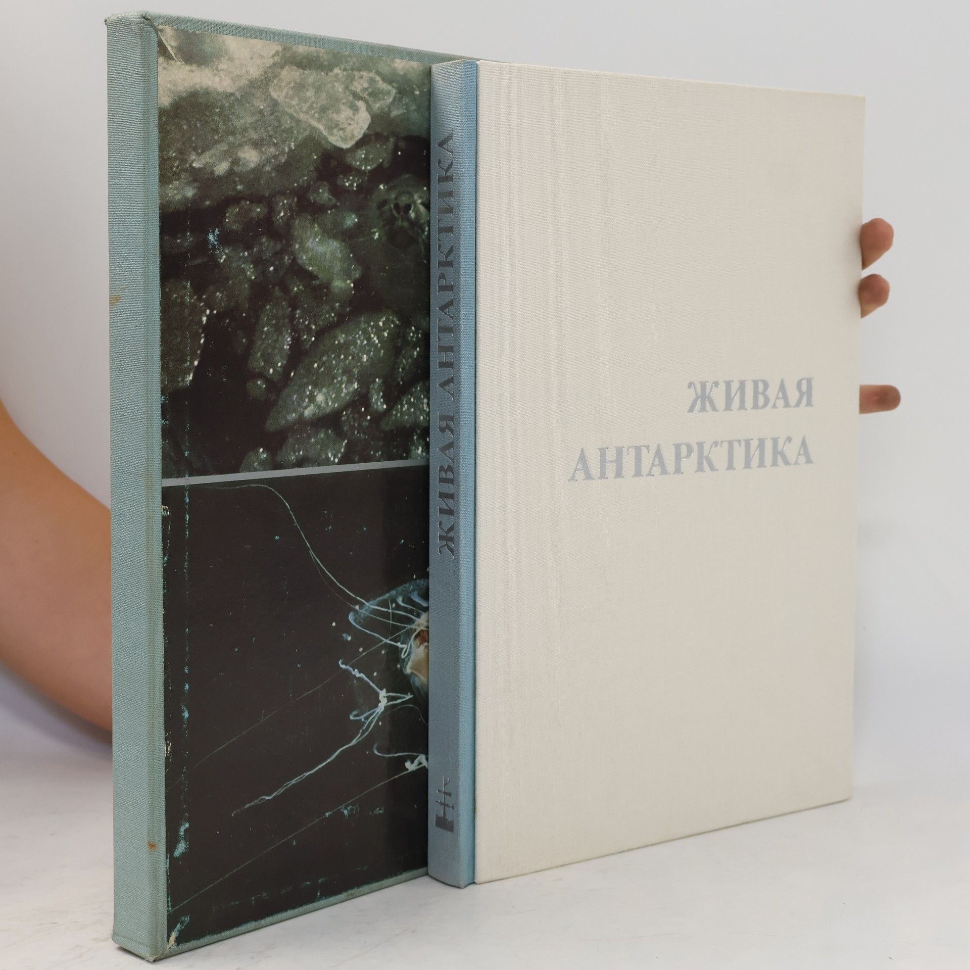 Autorenkollektiv Живая Антарктика