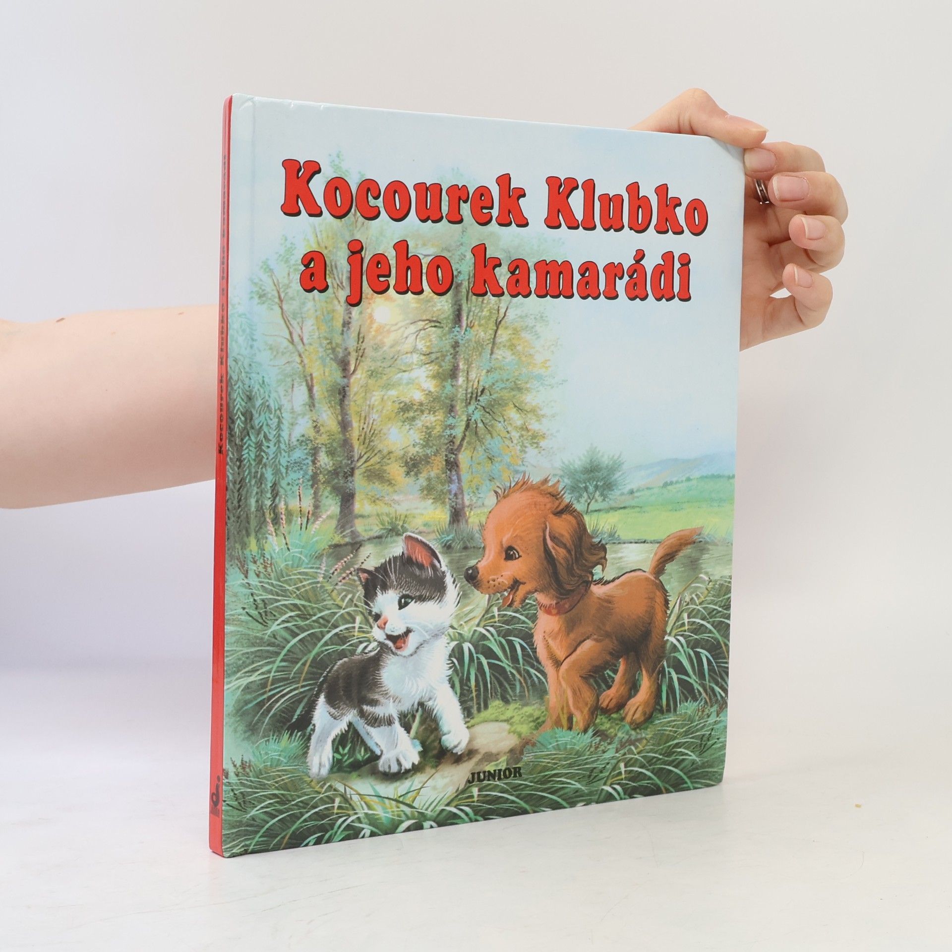 Erville Lucienne Kocourek Klubko a jeho kamarádi