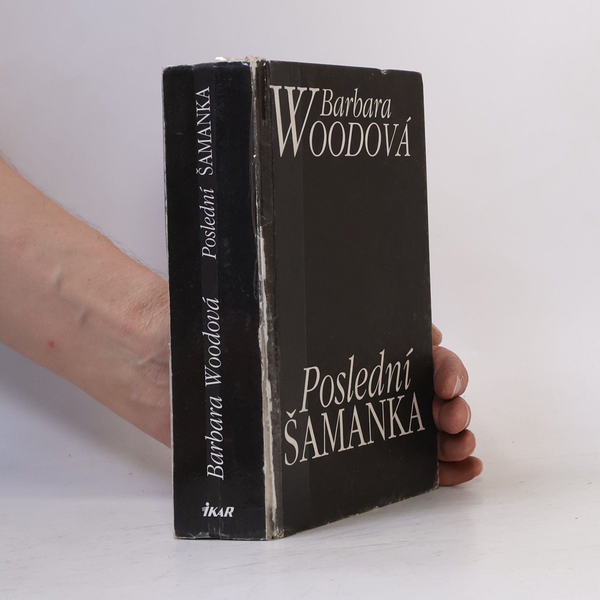 Barbara Wood Poslední šamanka