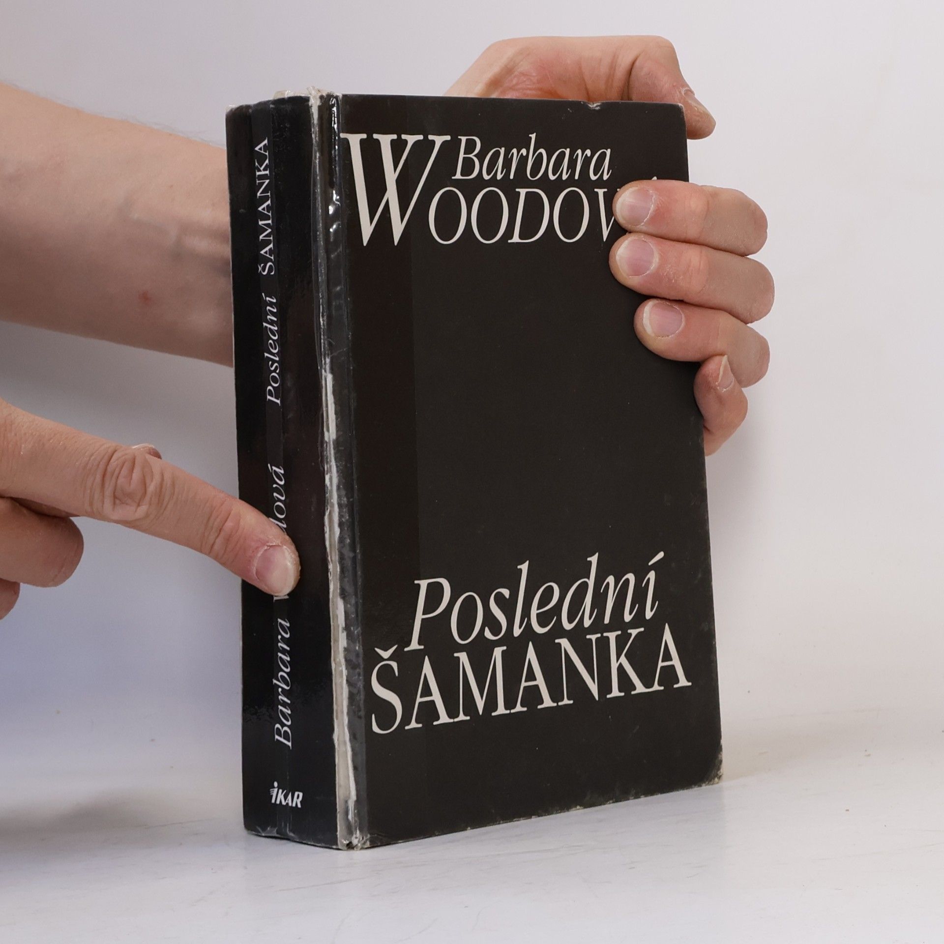Barbara Wood Poslední šamanka