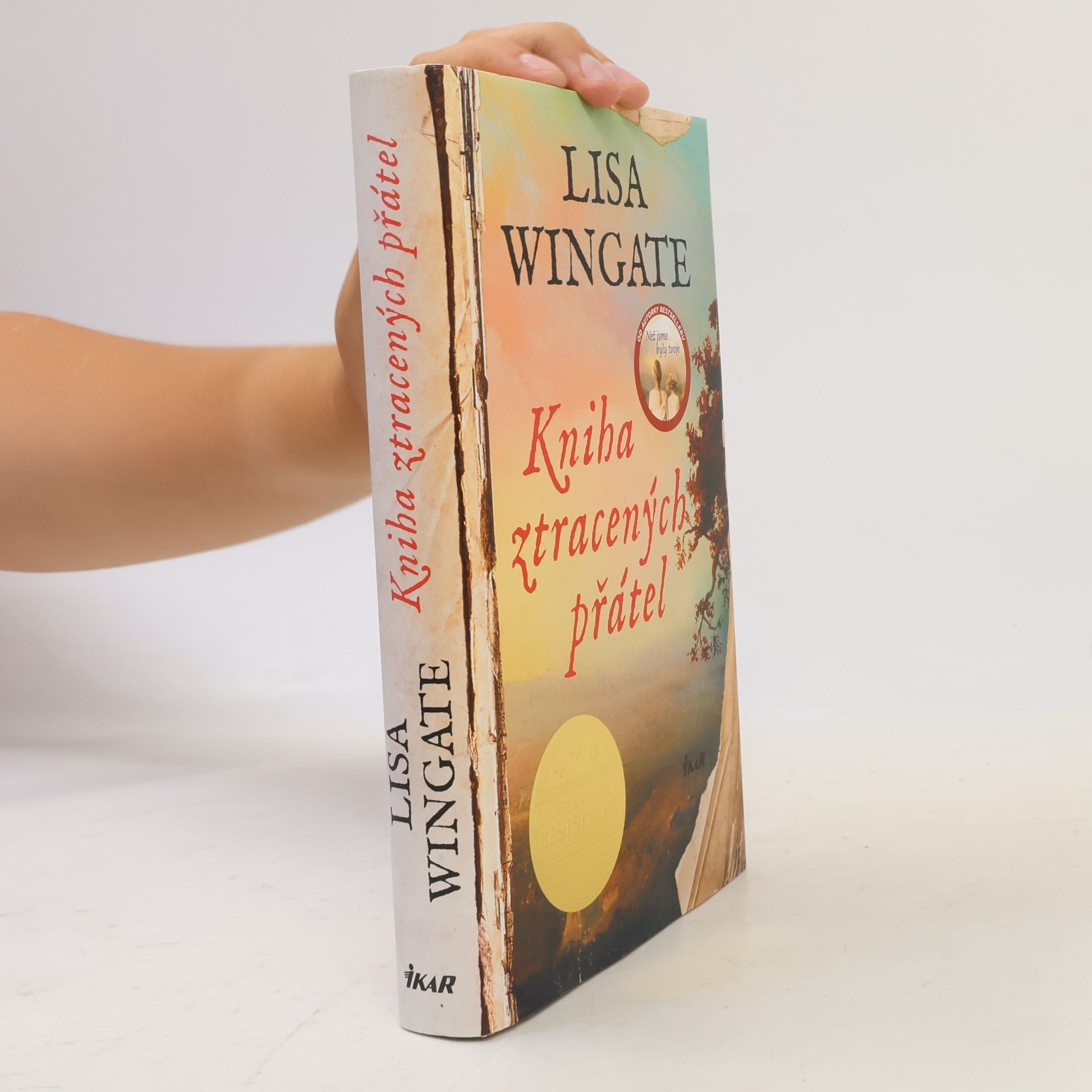 Lisa Wingate Kniha ztracených přátel