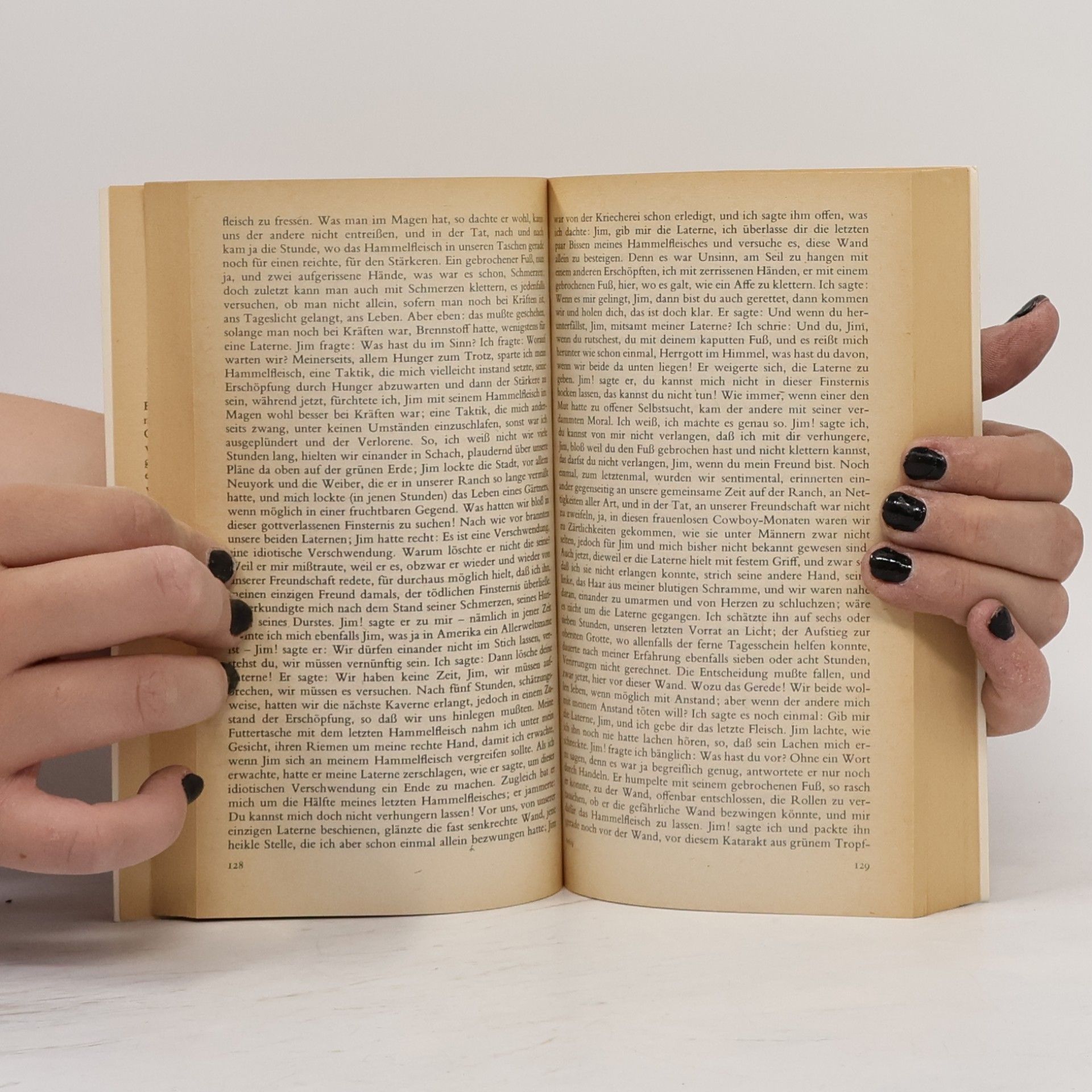 Max Frisch Stiller