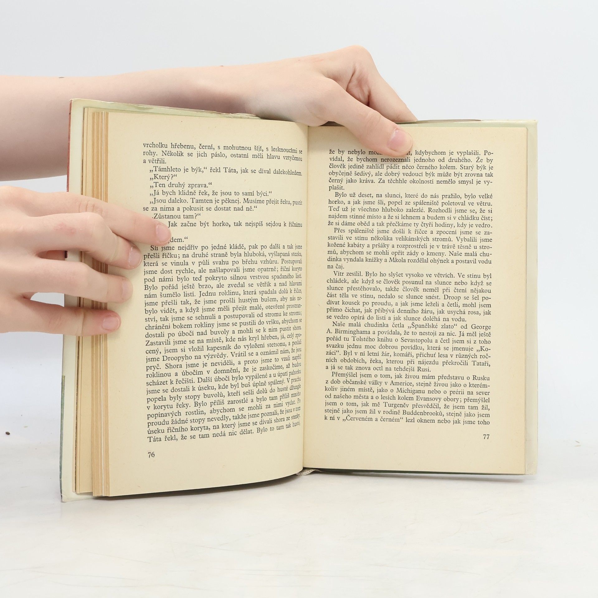Ernest Hemingway Zelené pahorky africké