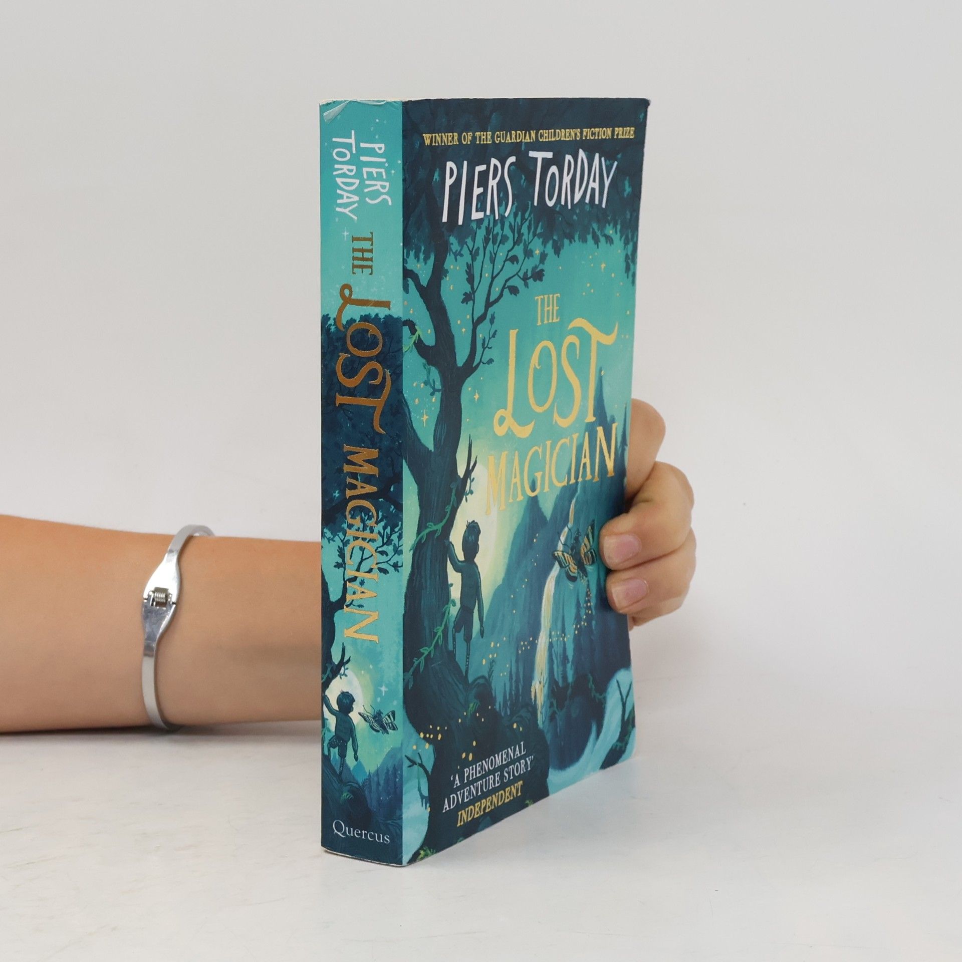 Piers Torday The Lost Magician