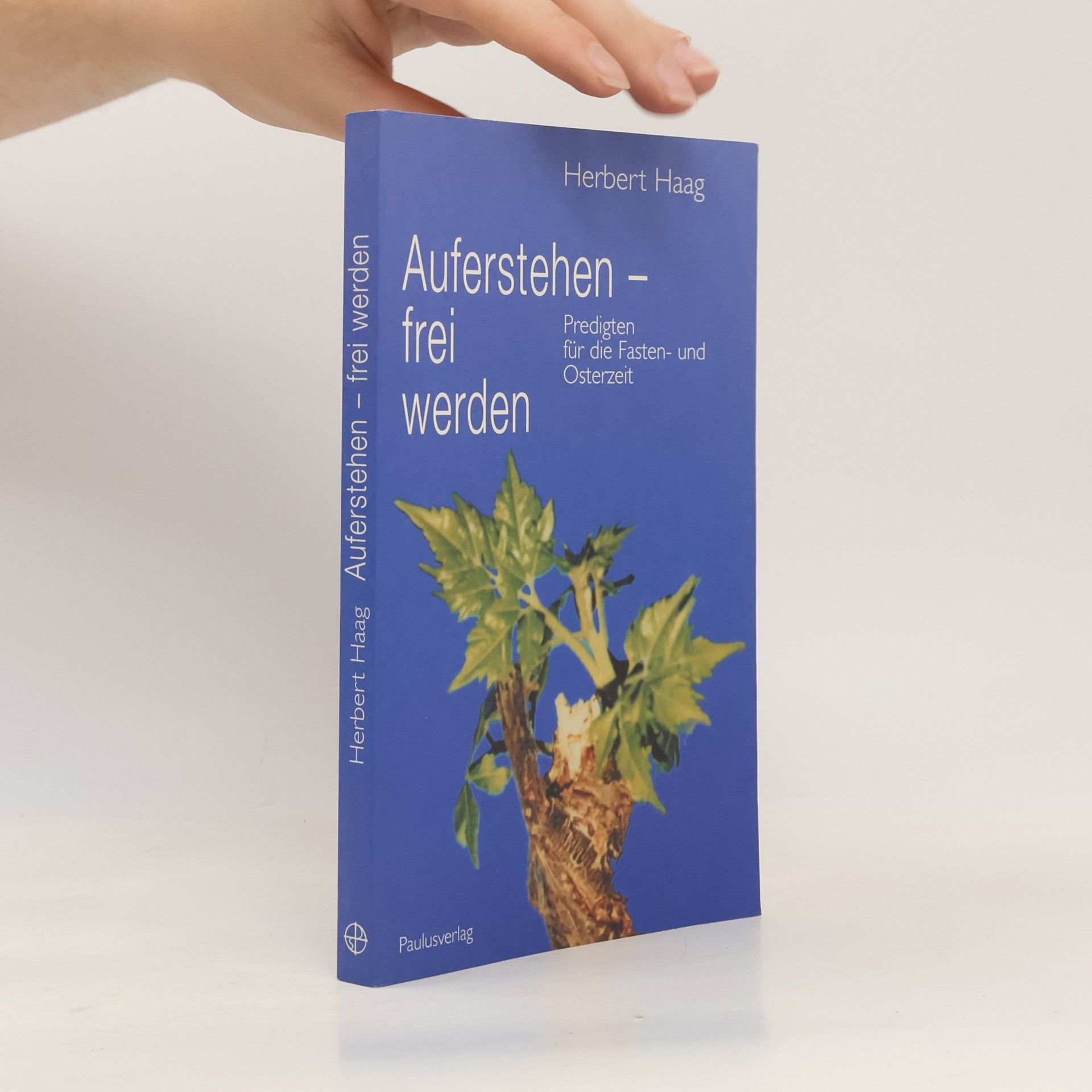 Herbert Haag Auferstehen - frei werden