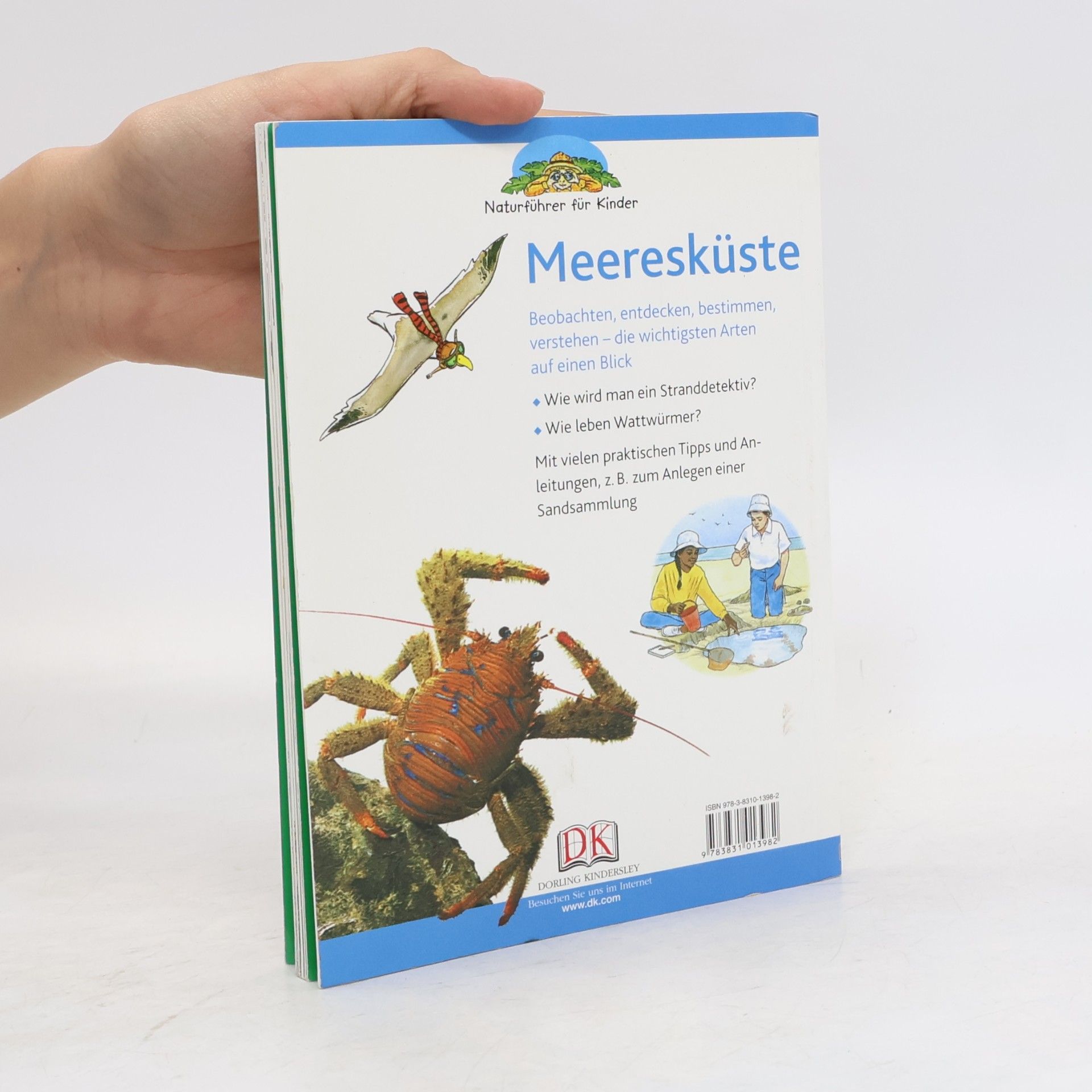 David Burnie Meeresküste