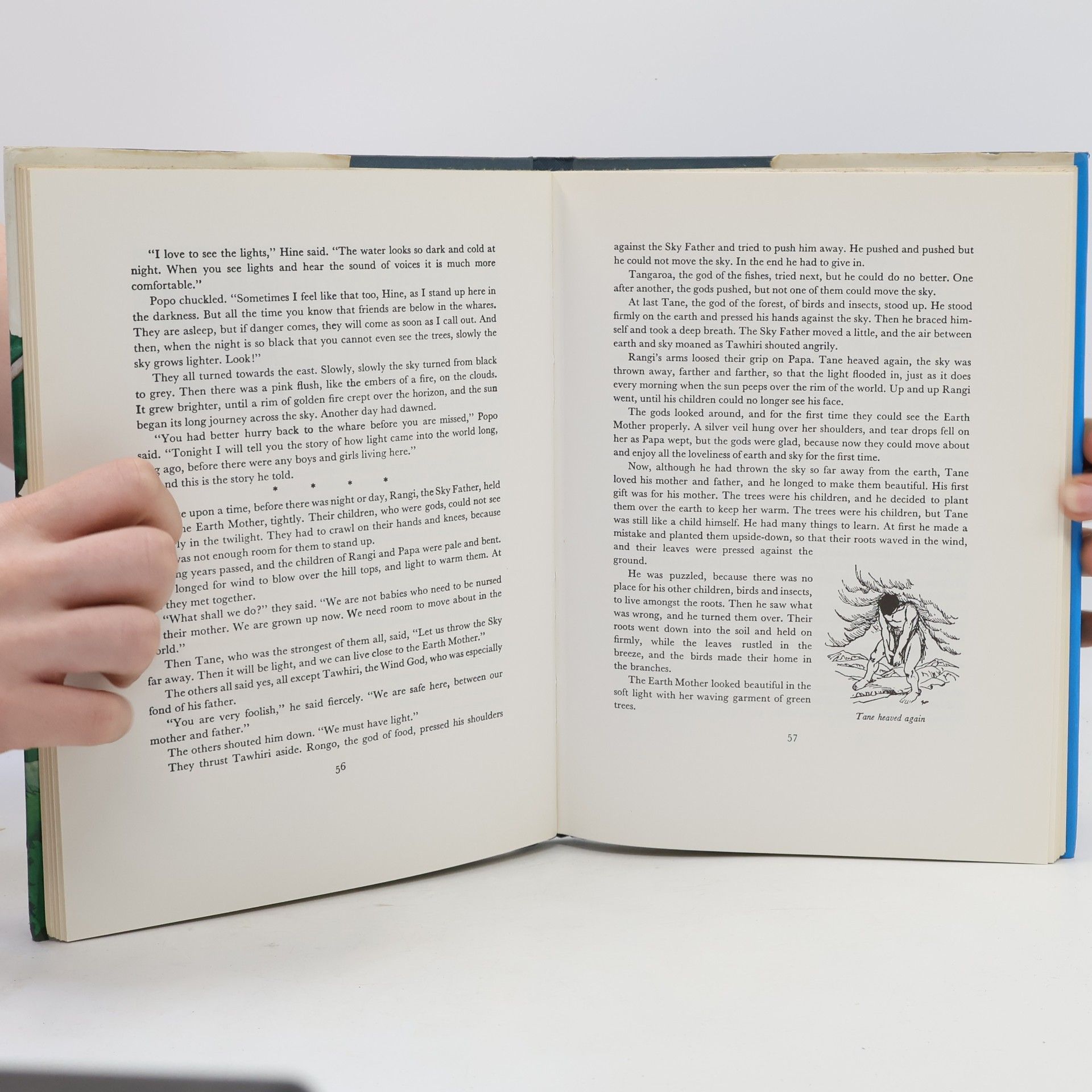 Alexander Wyclif Reed The Wonder Book of Maori Legends