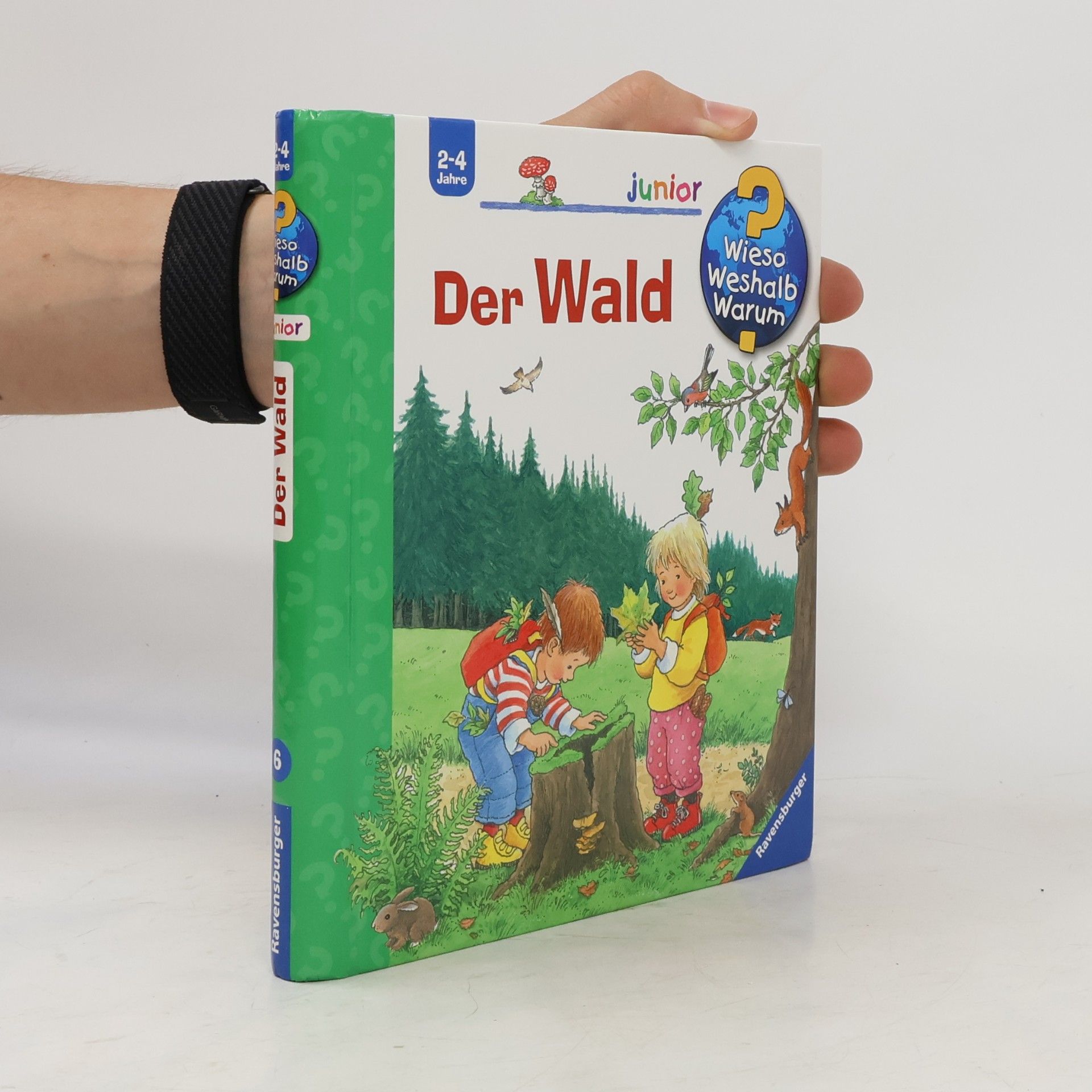Autorenkollektiv Der Wald