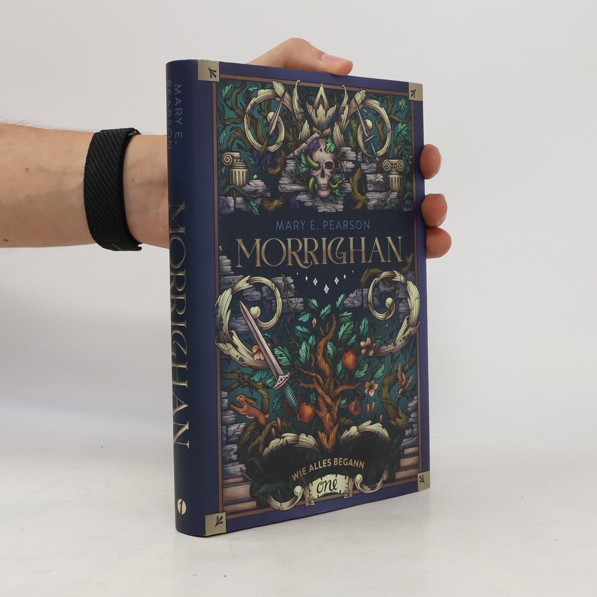 Mary E. Pearson Morrighan - Wie alles begann