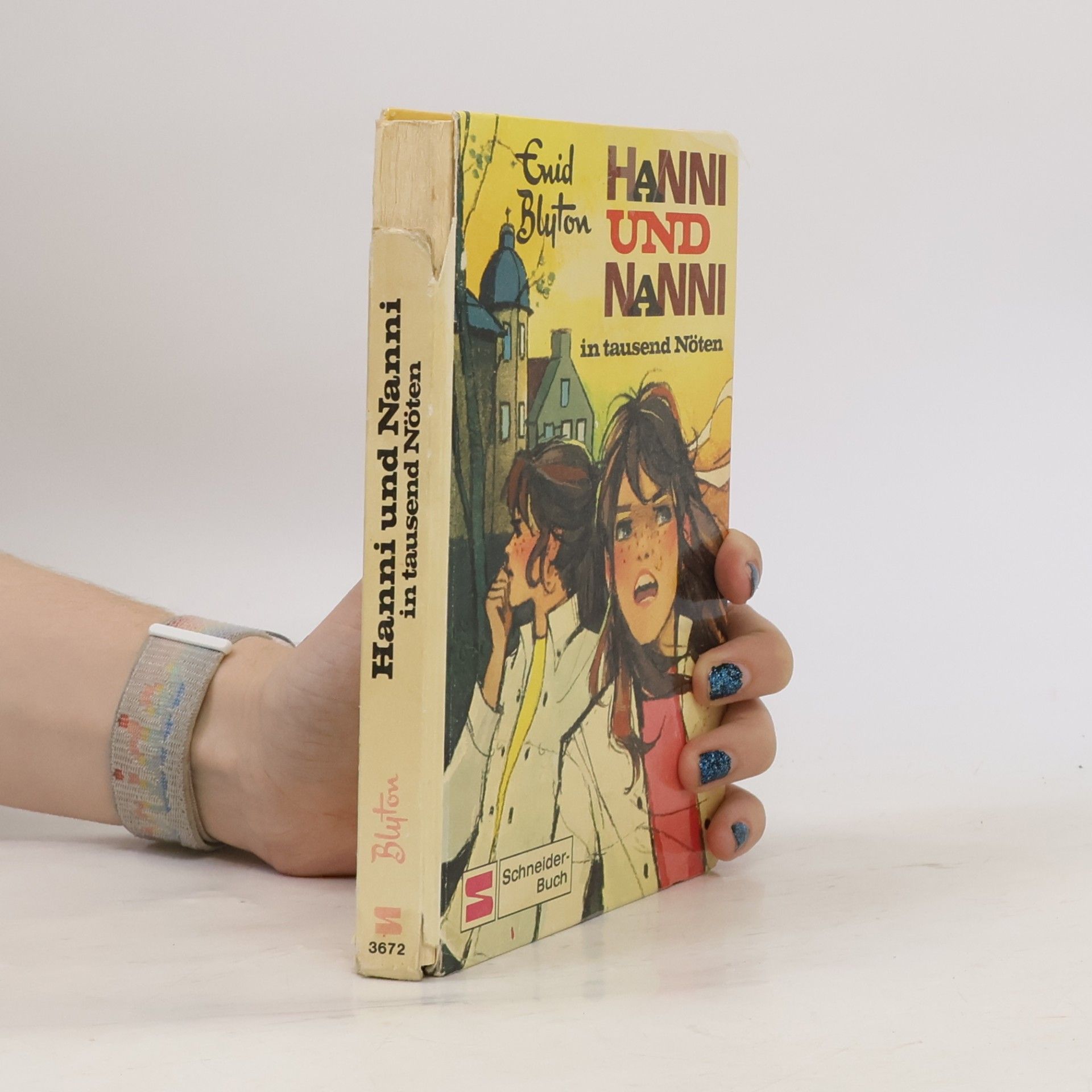 Enid Blyton Hanni und Nanni in tausend Nöten