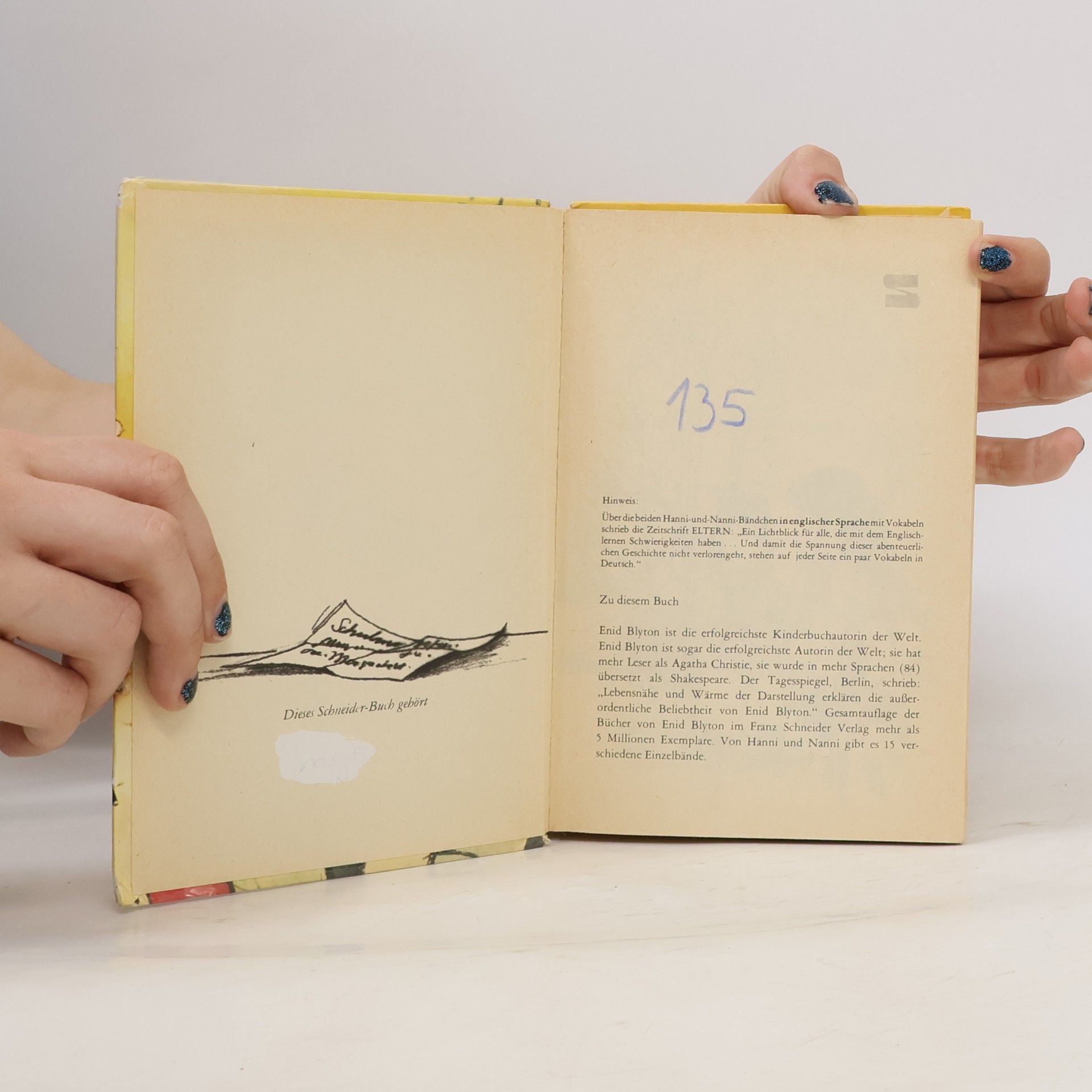 Enid Blyton Hanni und Nanni in tausend Nöten