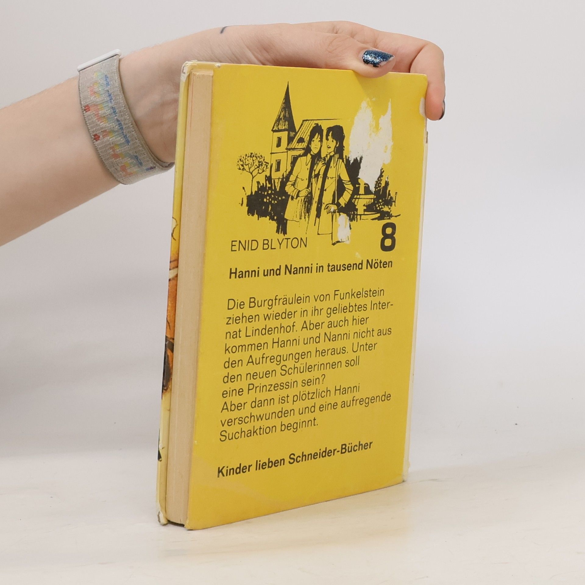 Enid Blyton Hanni und Nanni in tausend Nöten