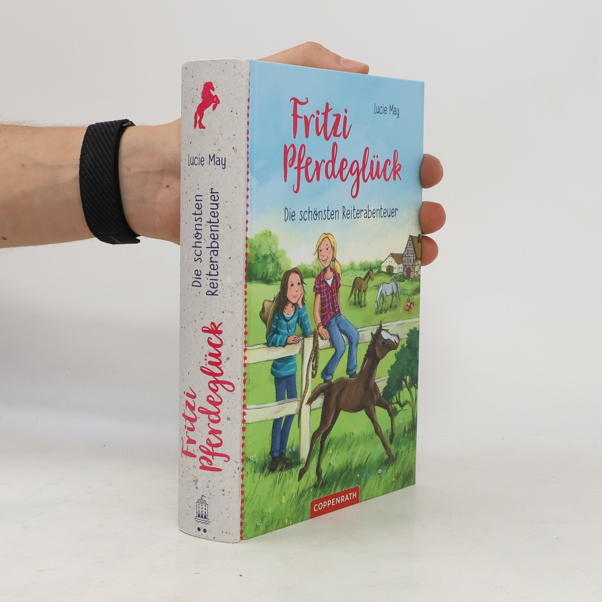Lucie May Fritzi Pferdeglück - die schönsten Reiterabenteuer