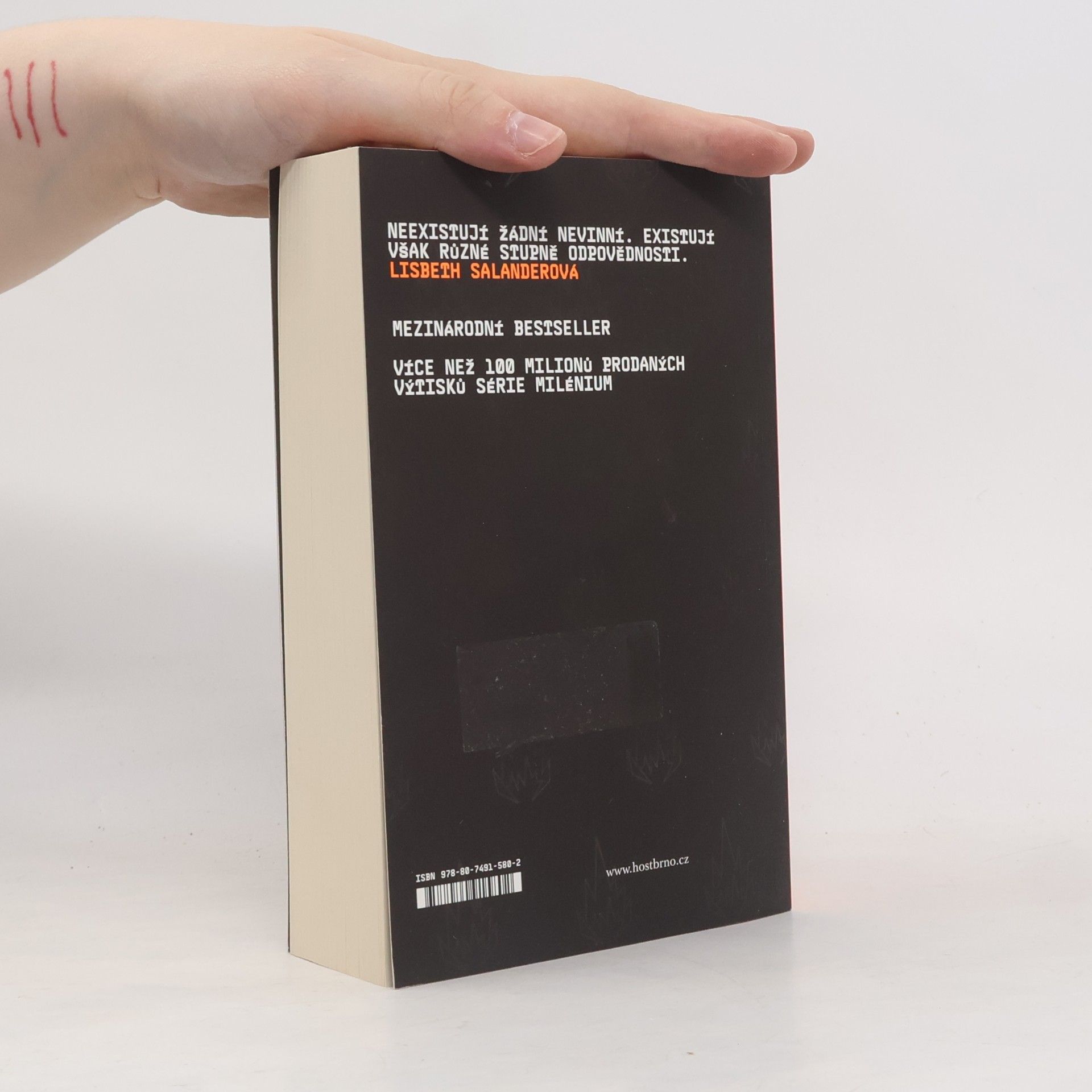Stieg Larsson Dívka, která si hrála s ohněm