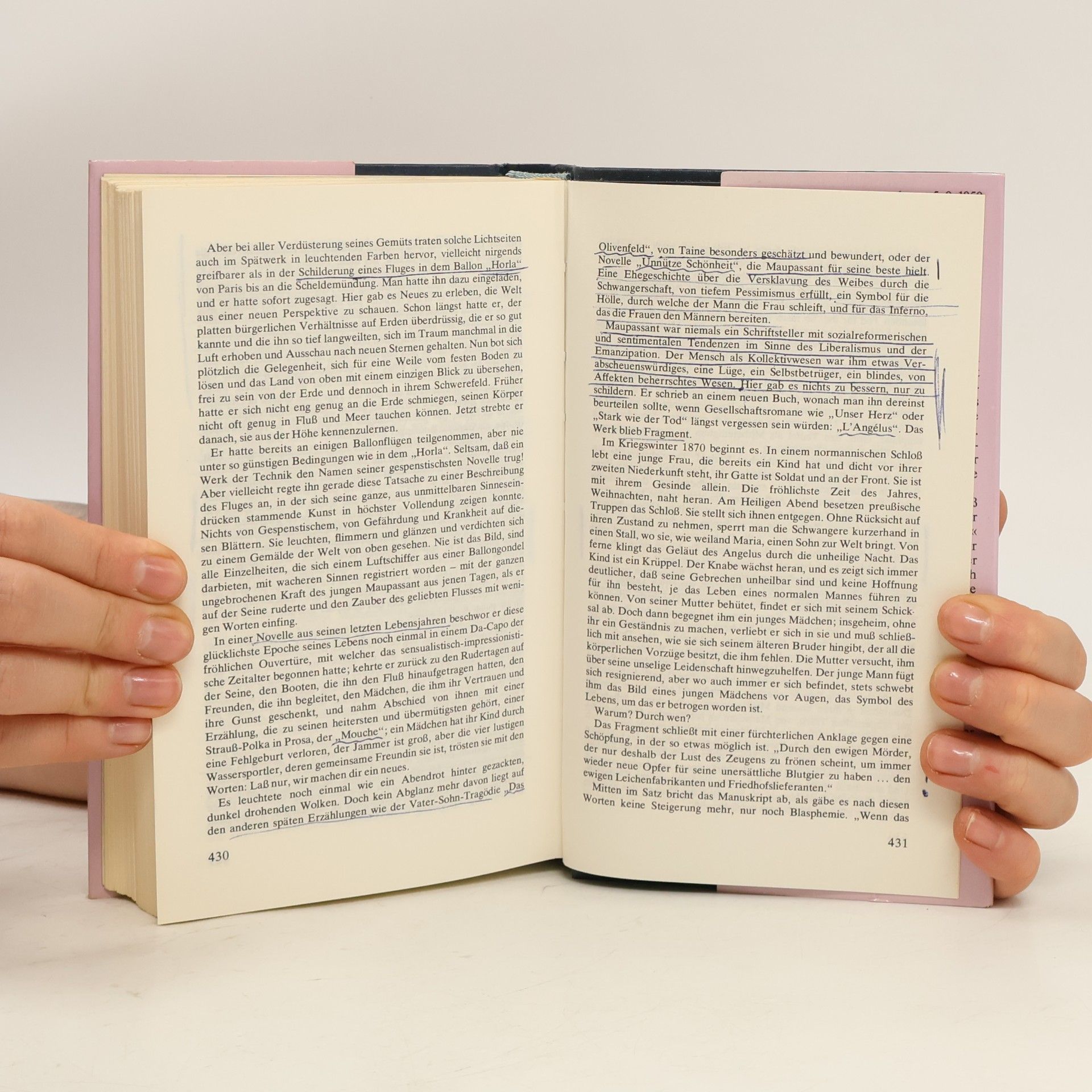 Guy de Maupassant Romane und Novellen
