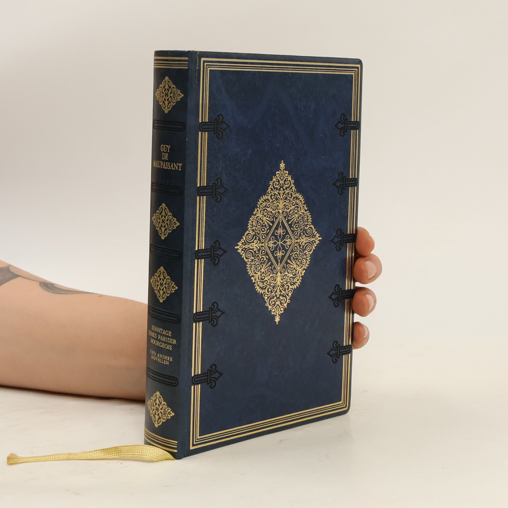 Guy de Maupassant Sonntage eines Pariser Bourgeois und andere Novellen