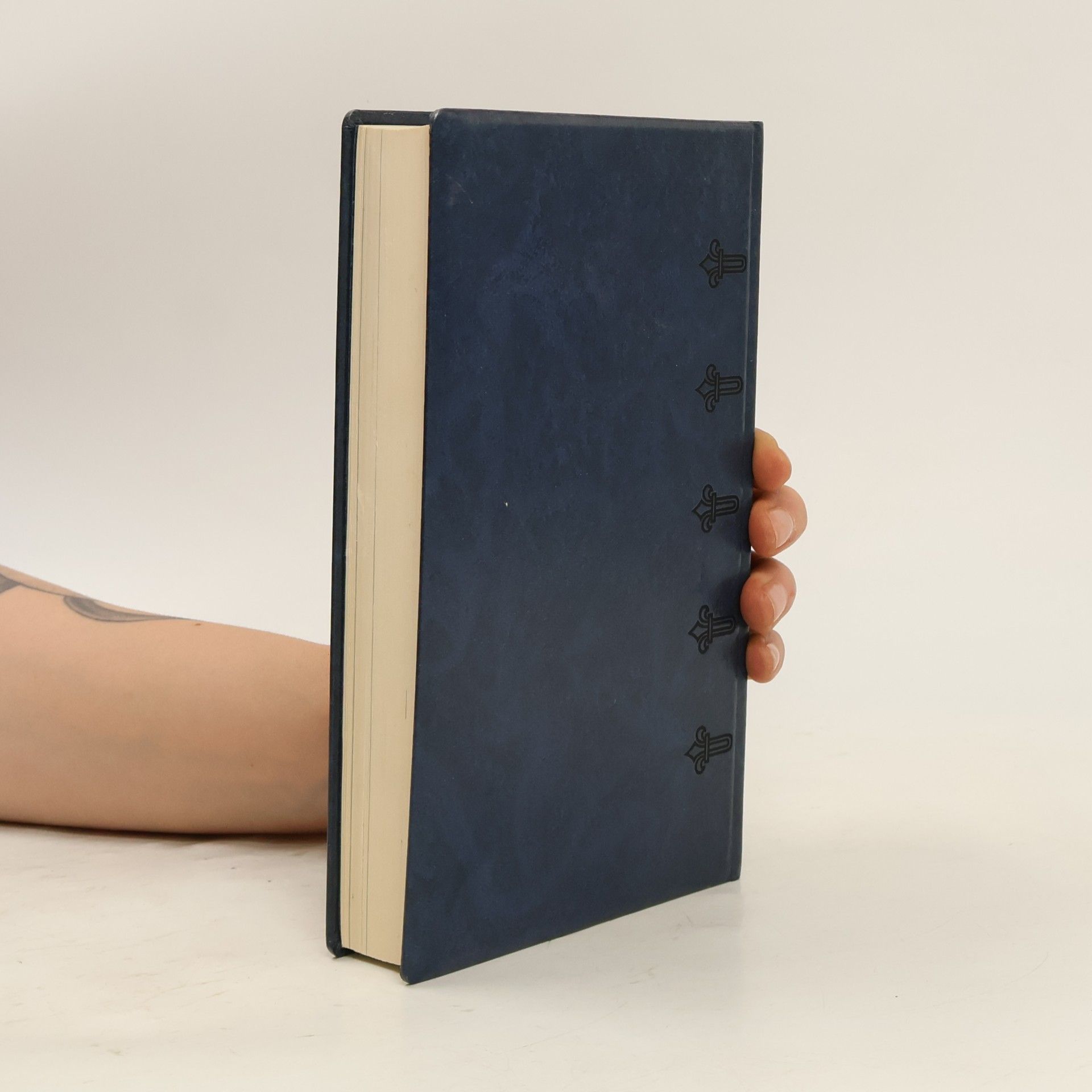 Guy de Maupassant Sonntage eines Pariser Bourgeois und andere Novellen