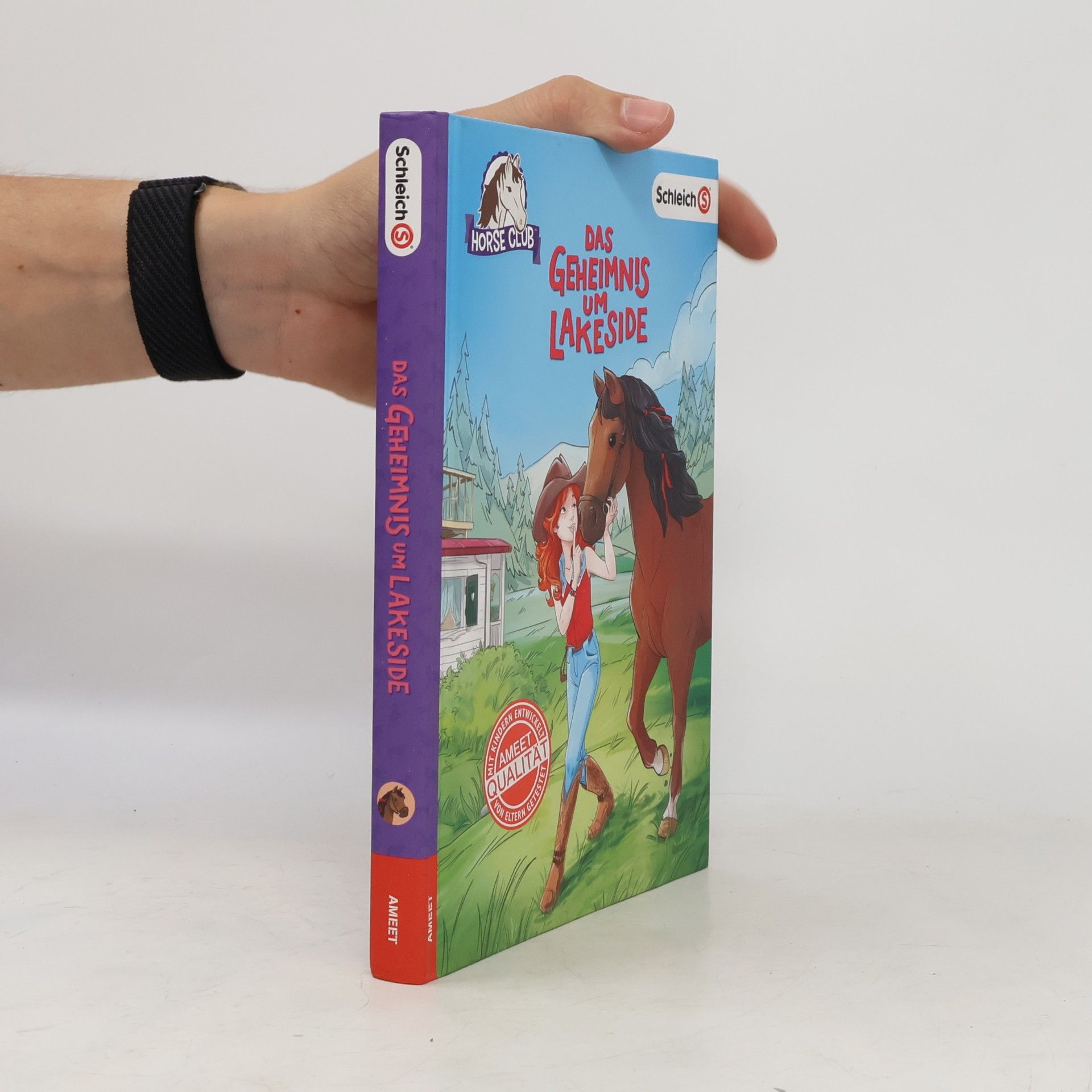 Emma Walden Horse Club - das Geheimnis um Lakeside