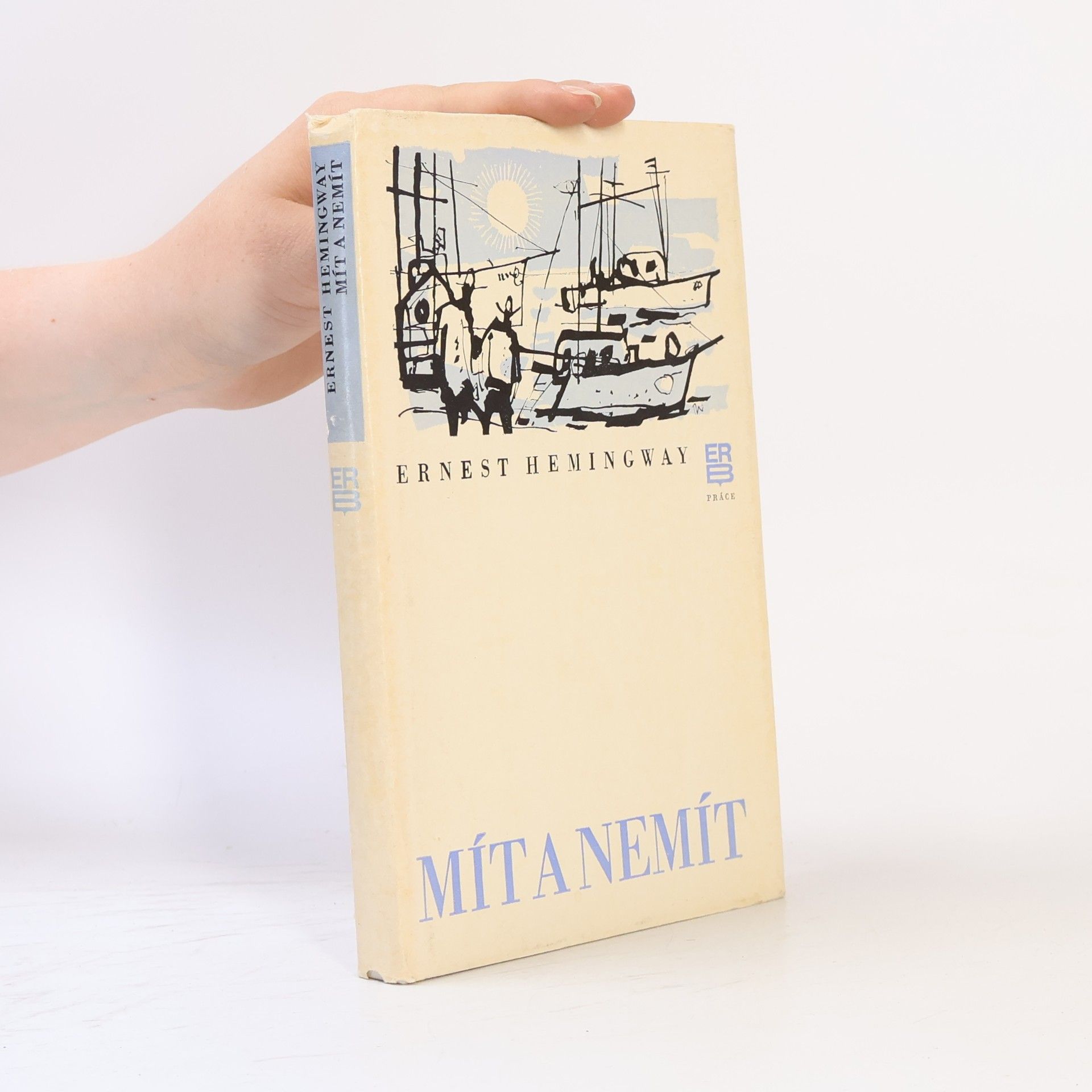 Ernest Hemingway Mít a nemít