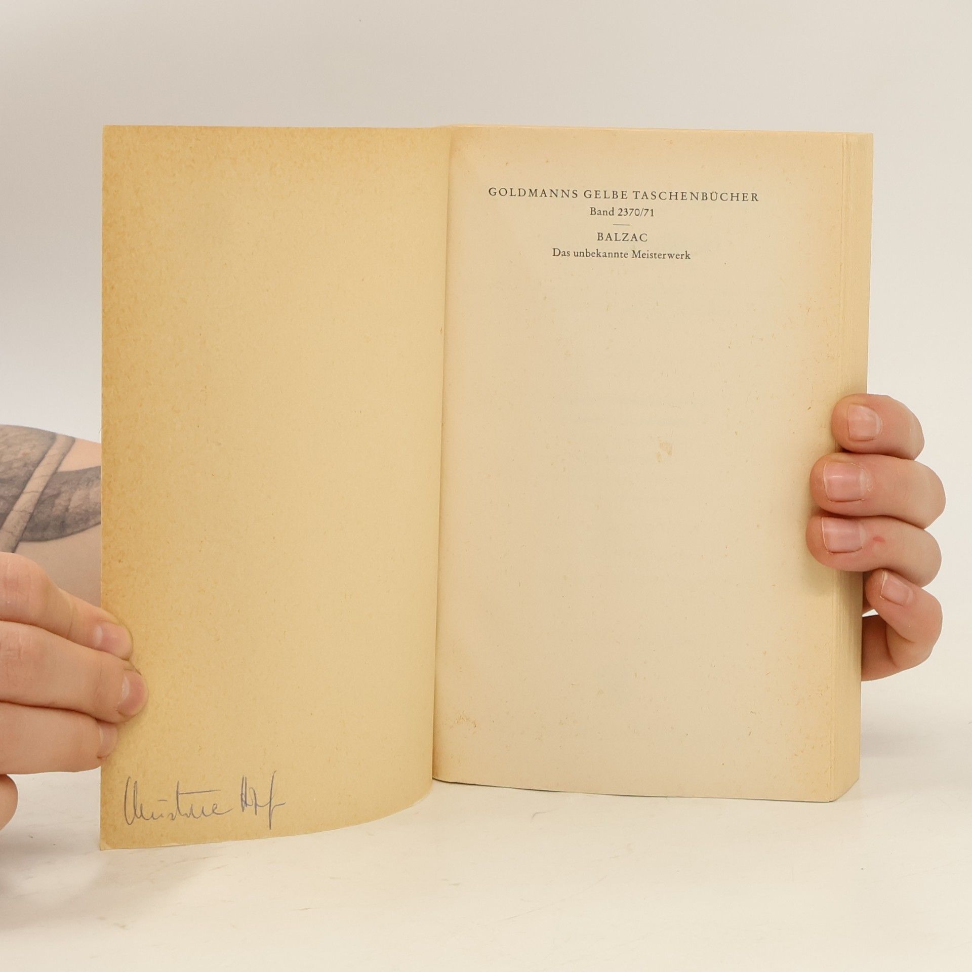 Honoré de Balzac Das unbekannte Meisterwerk