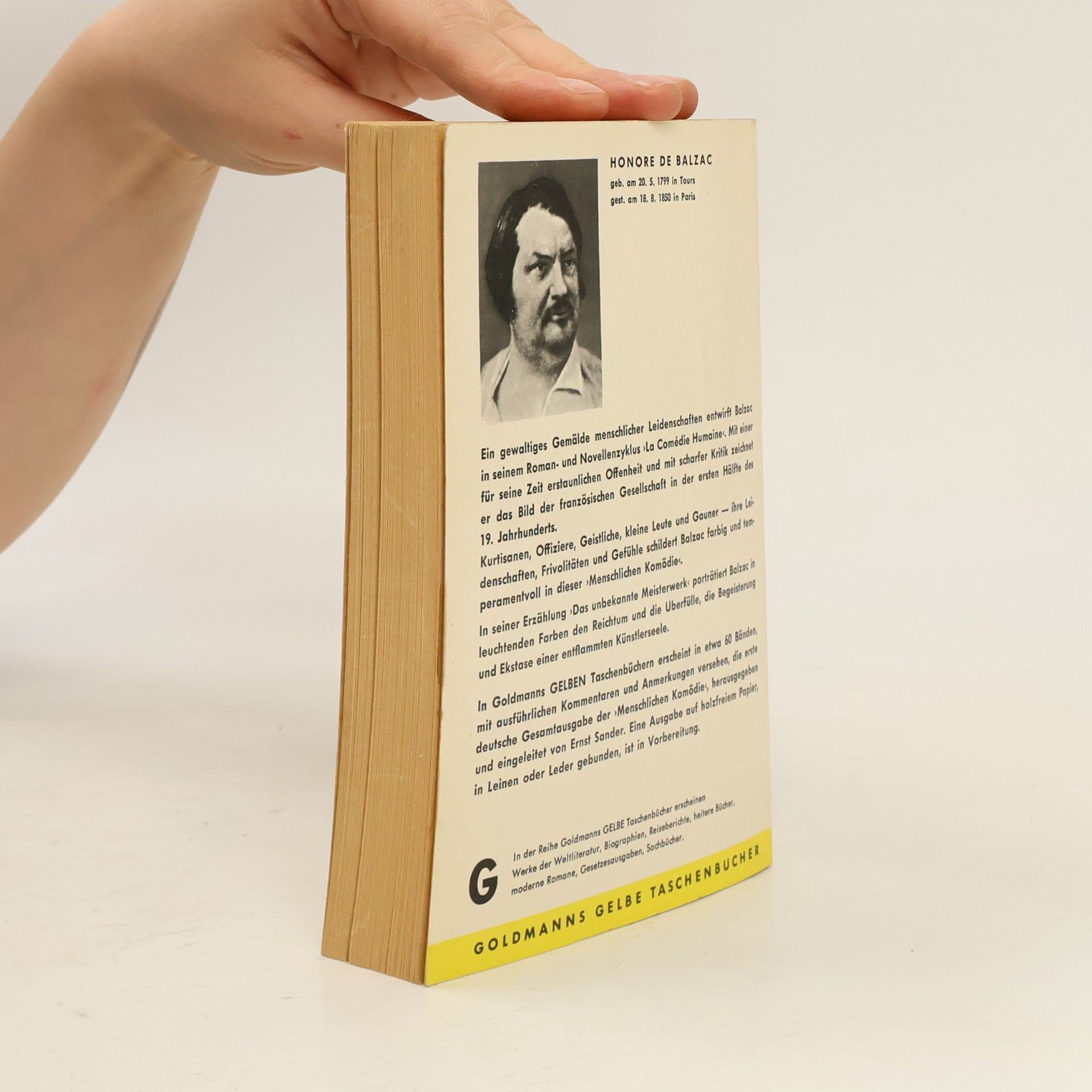 Honoré de Balzac Das unbekannte Meisterwerk