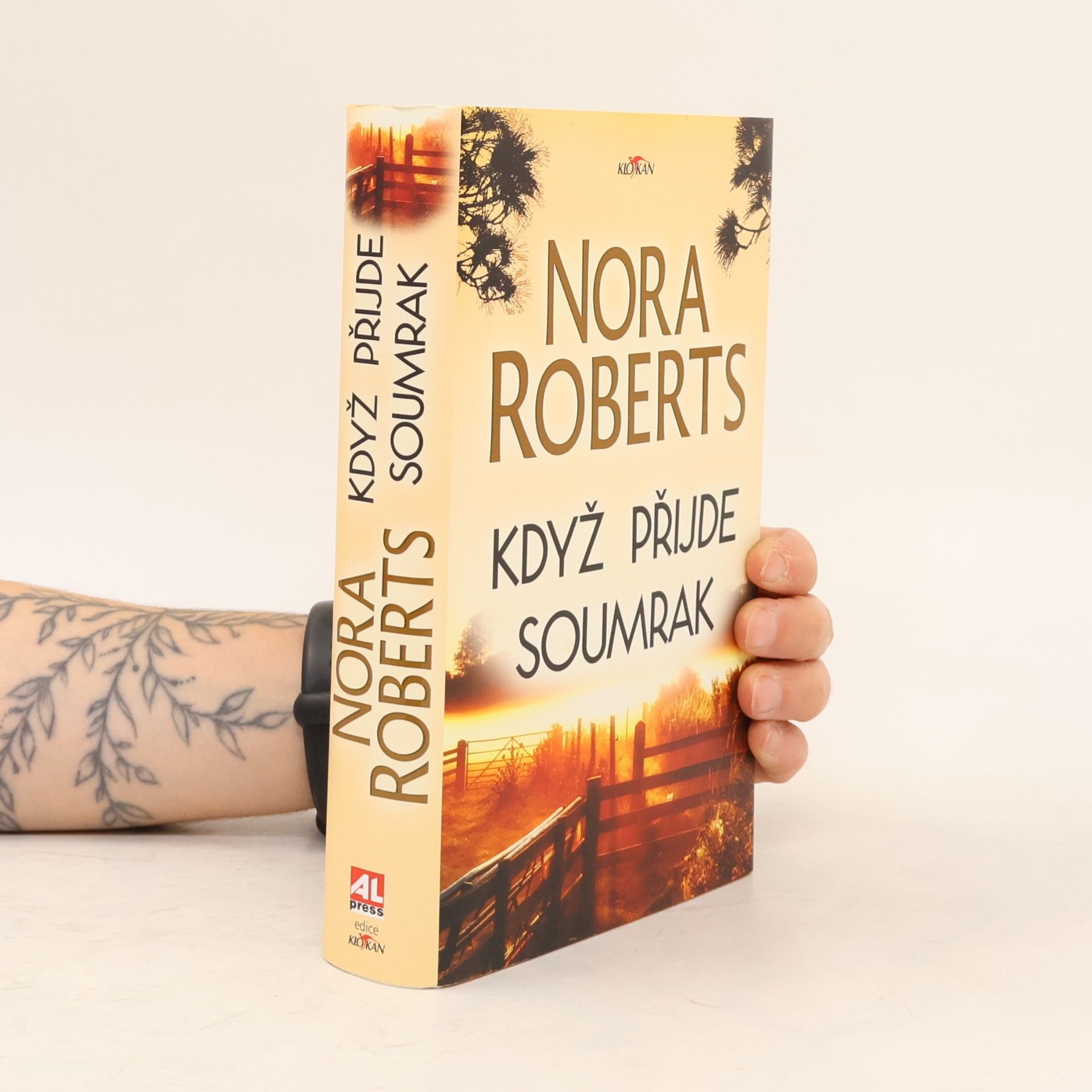 Nora Roberts Když přijde soumrak
