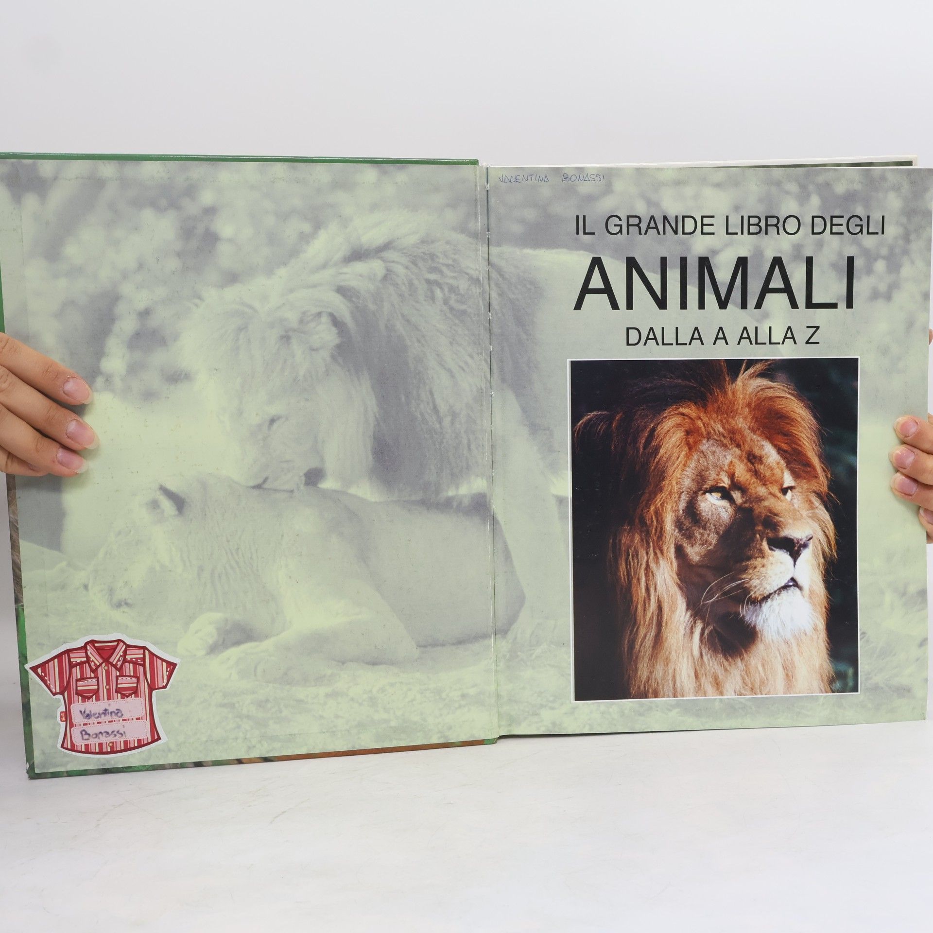 Monica Borello Il grande libro degli animali dalla A alla Z