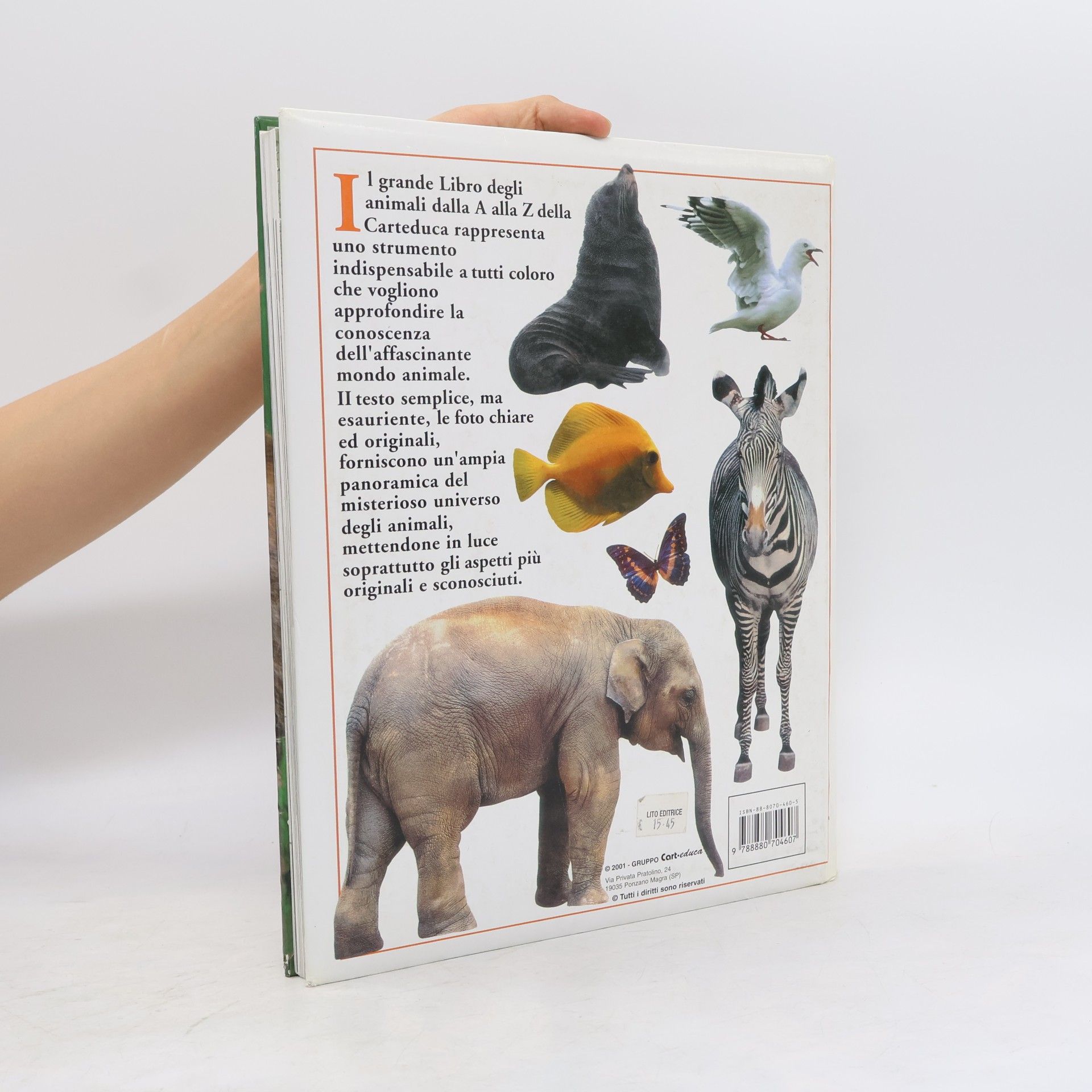 Monica Borello Il grande libro degli animali dalla A alla Z