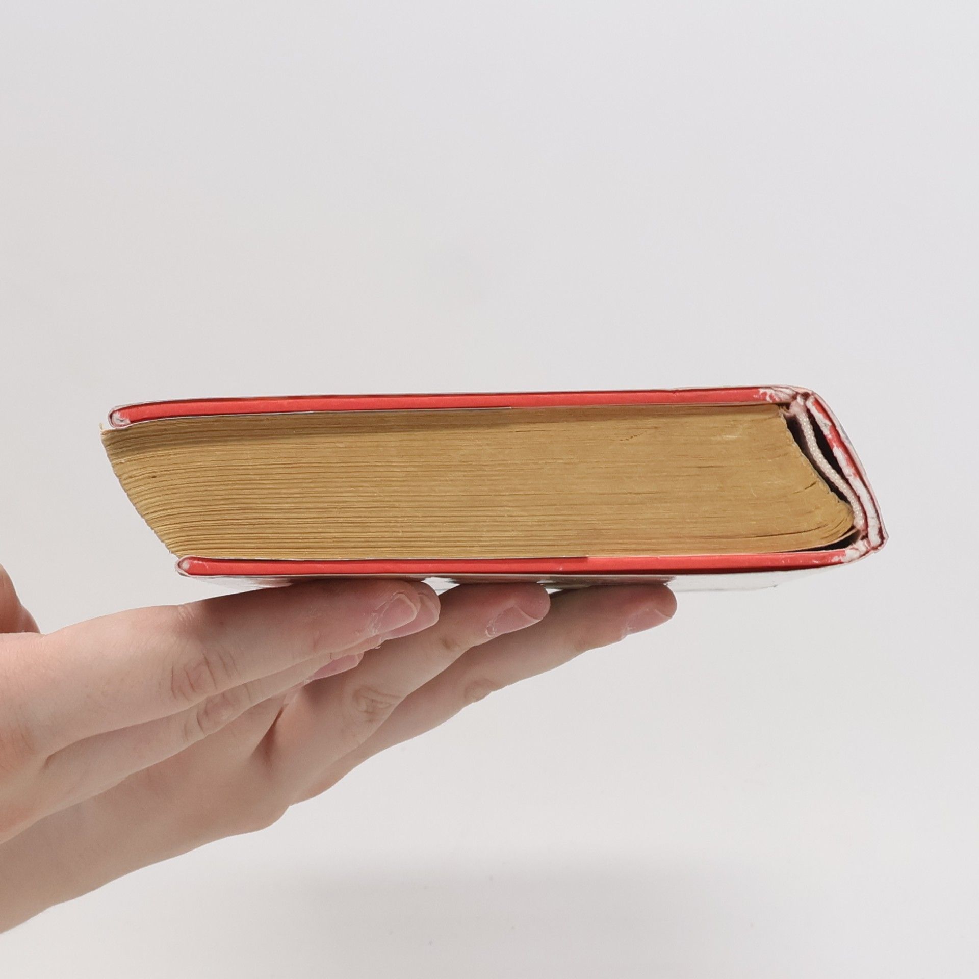 Janet Evanovich Lovkyně zločinců