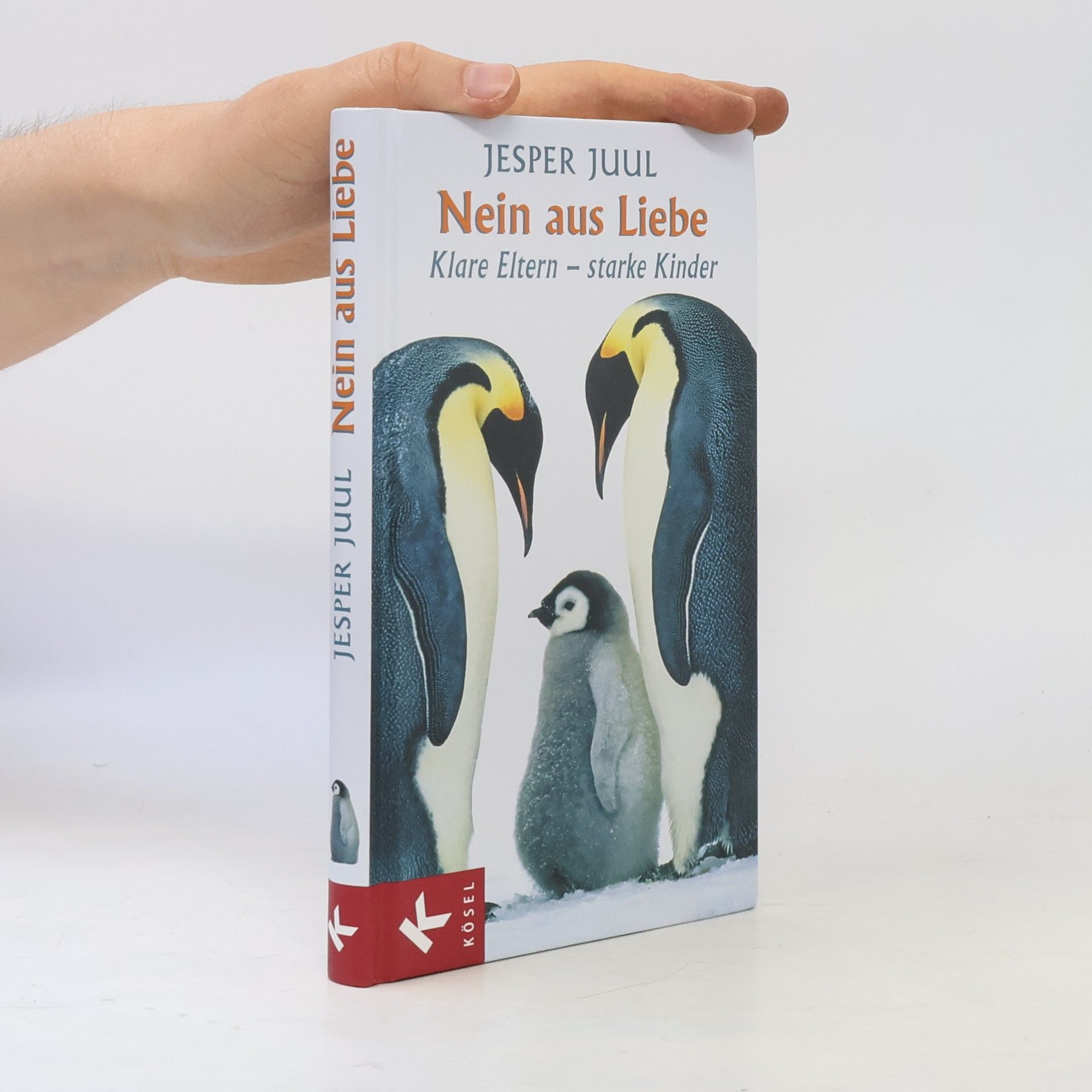 Jesper Juul Nein aus Liebe