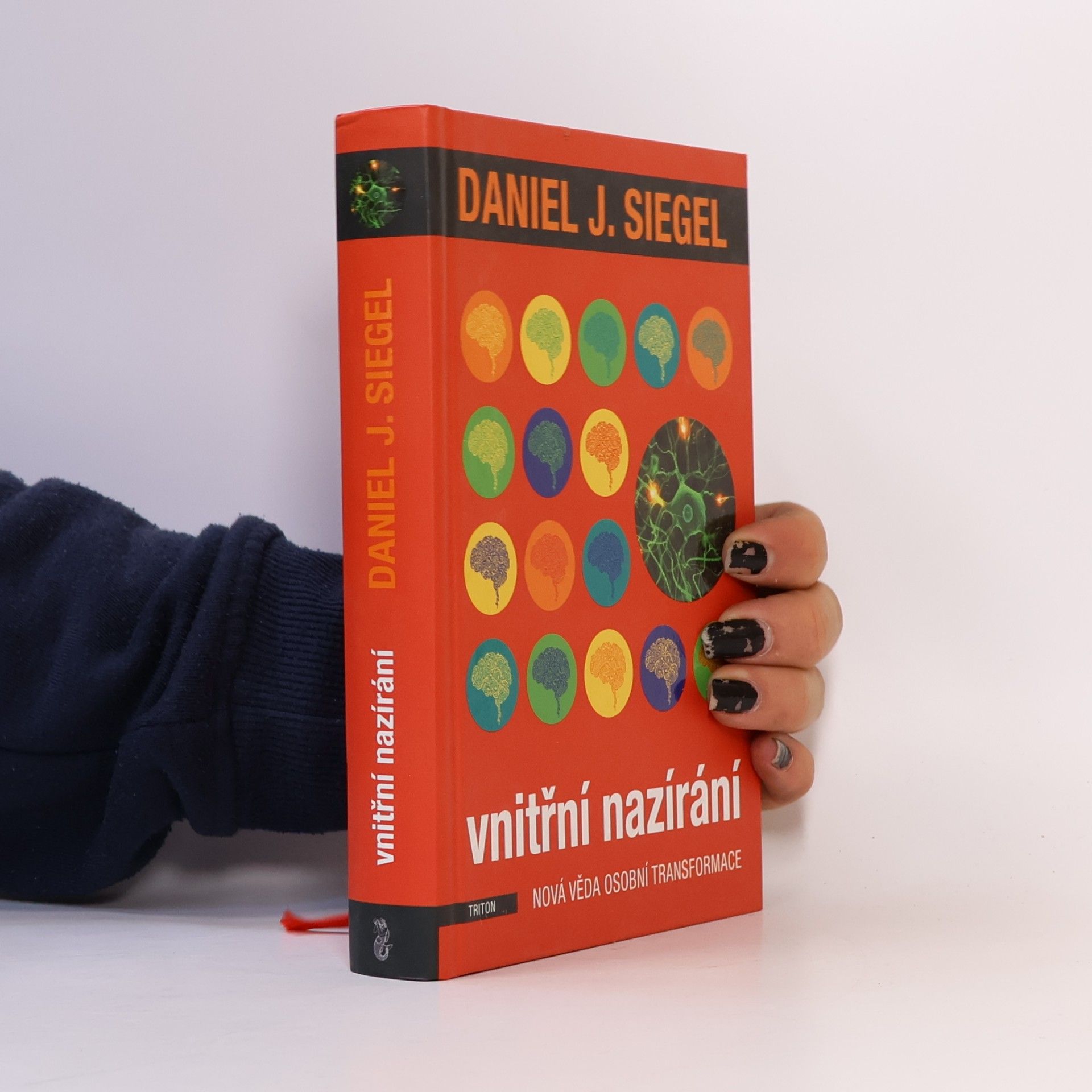 Daniel J. Siegel Vnitřní nazírání