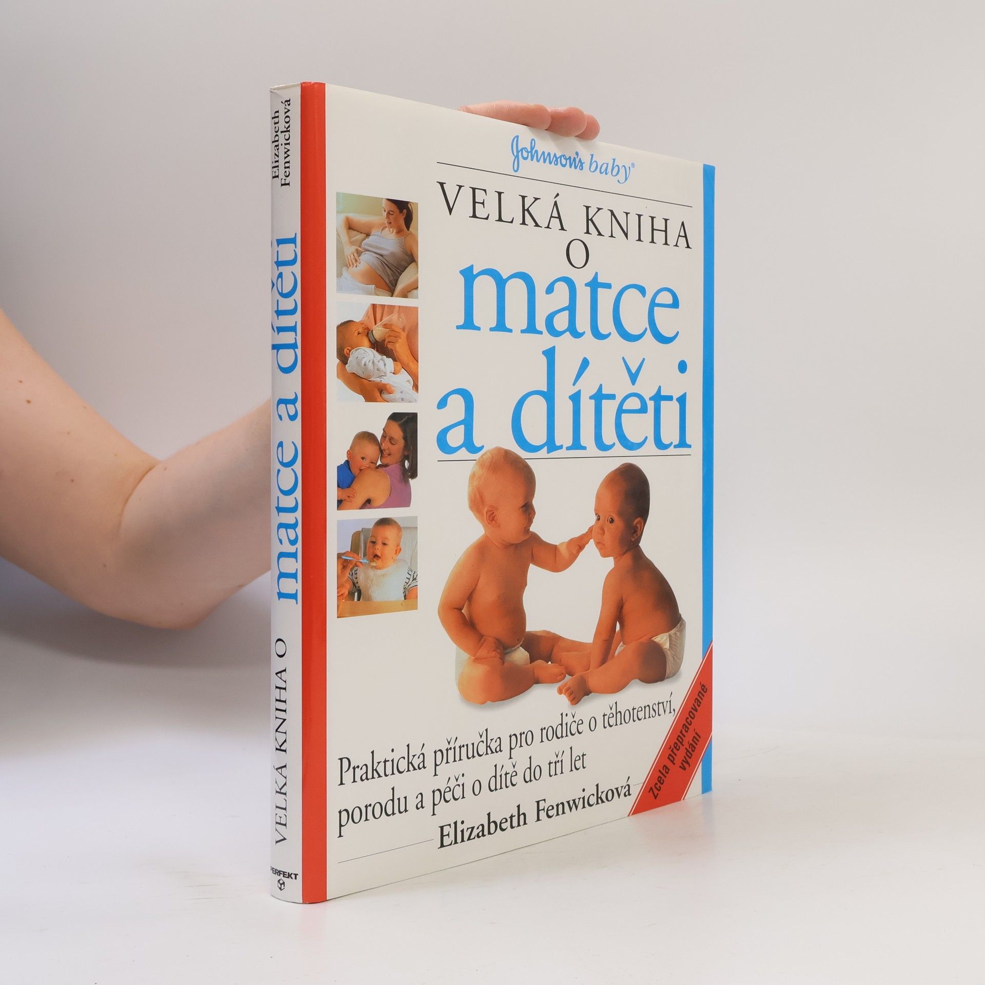 Elizabeth Fenwick Velká kniha o matce a dítěti