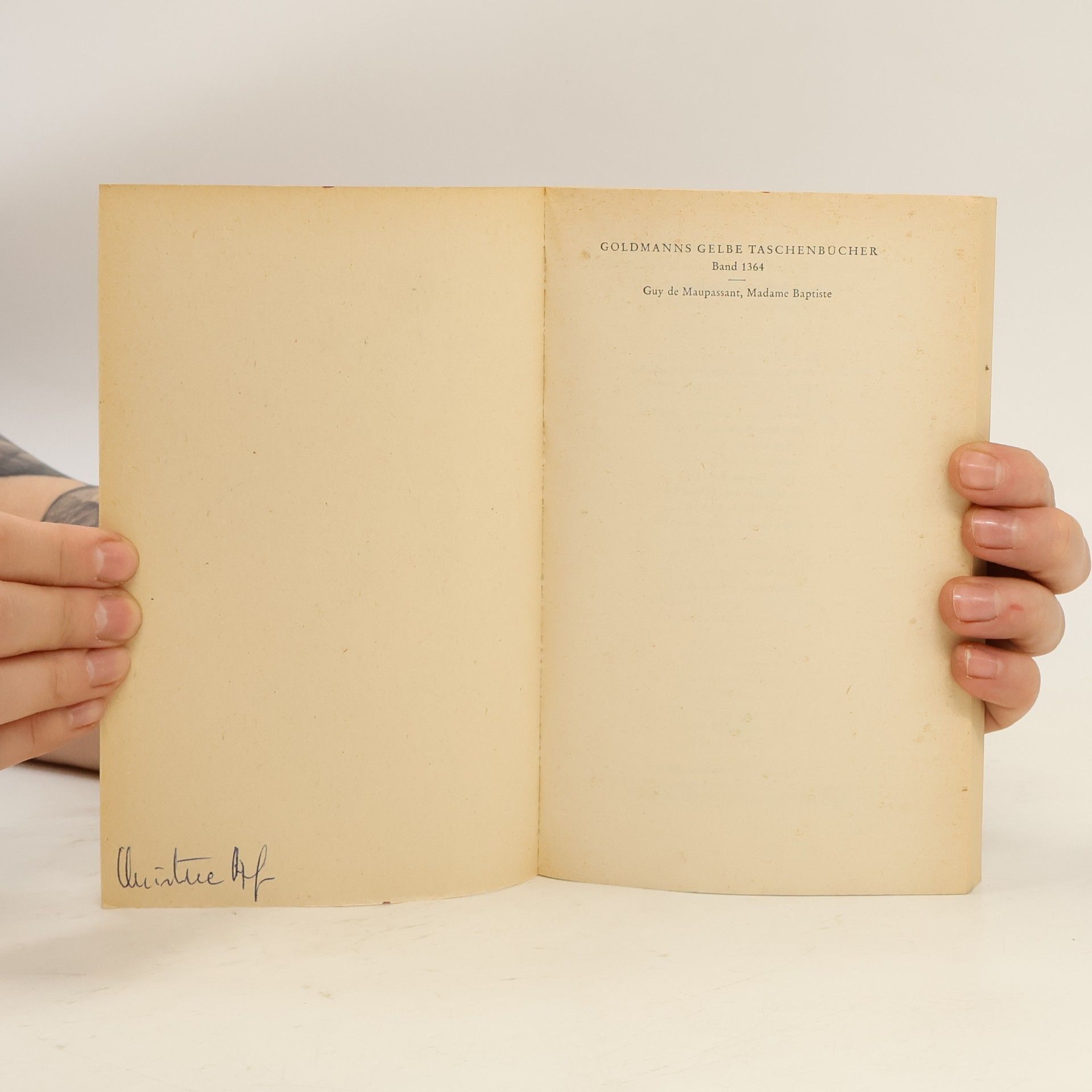 Guy de Maupassant Der Rosenjüngling der Madame Husson und andere Novellen