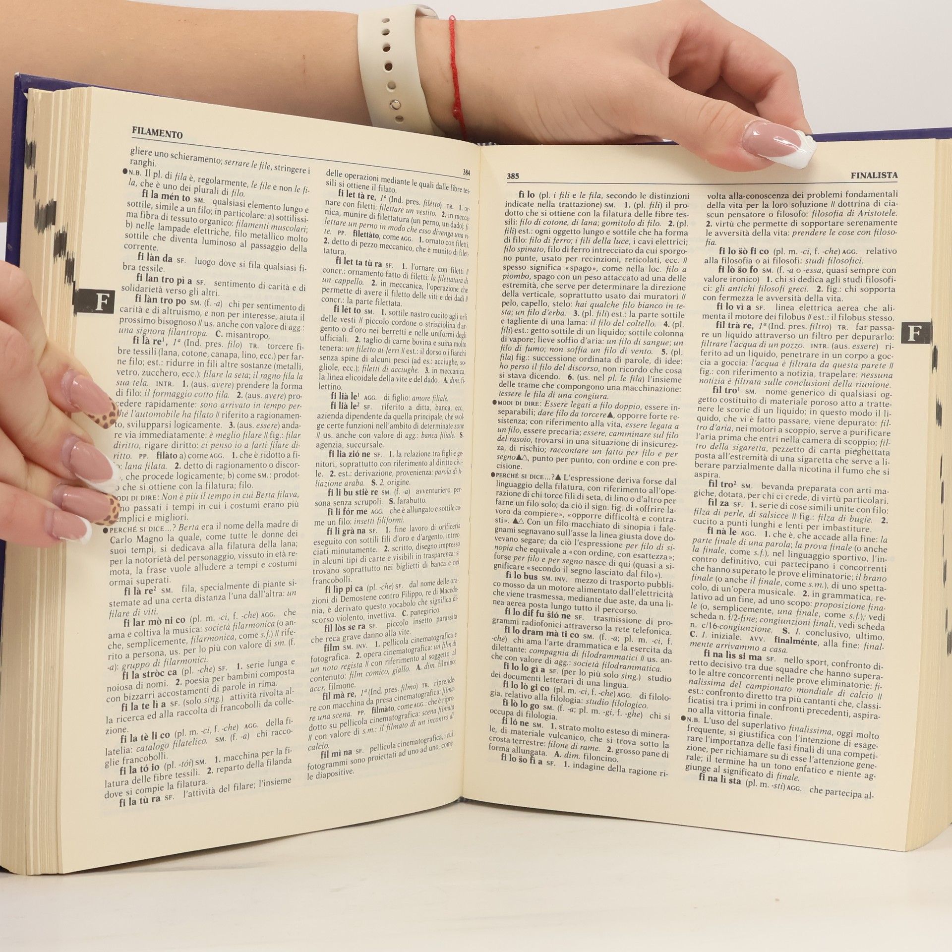 Various Dizionario fondamentale della lingua italiana